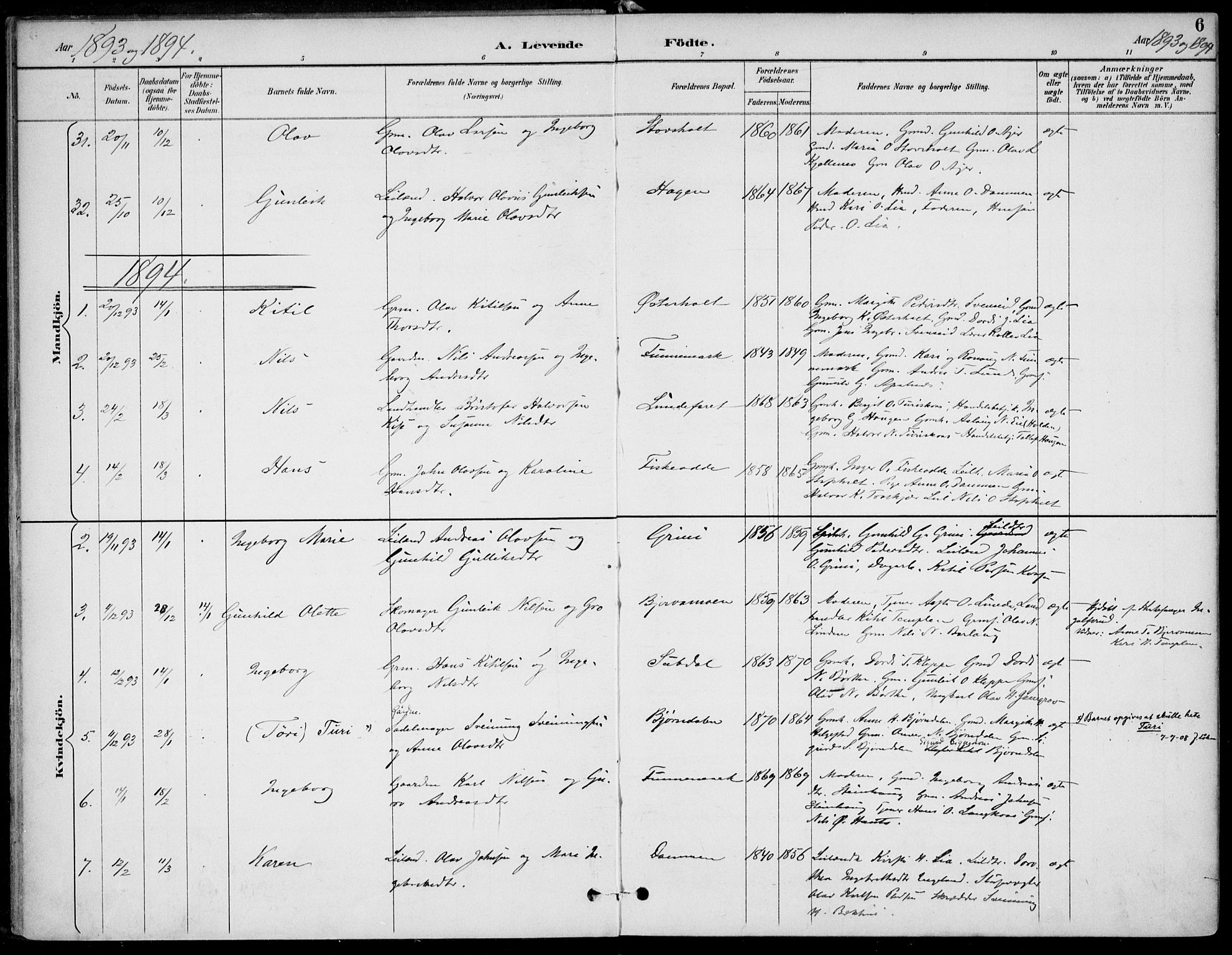 Lunde kirkebøker, AV/SAKO-A-282/F/Fa/L0003: Parish register (official) no. I 3, 1893-1902, p. 6