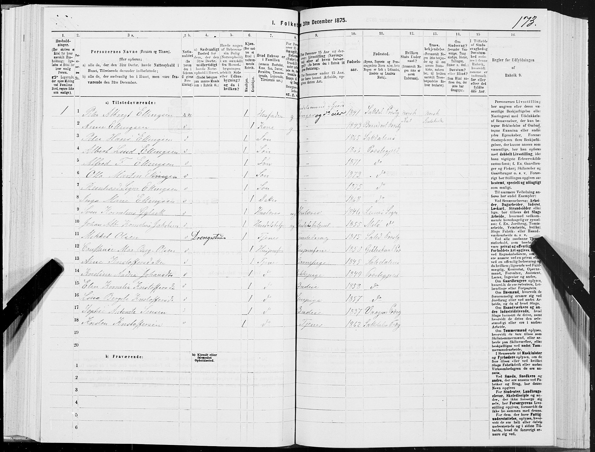 SAT, 1875 census for 1840P Saltdal, 1875, p. 1173