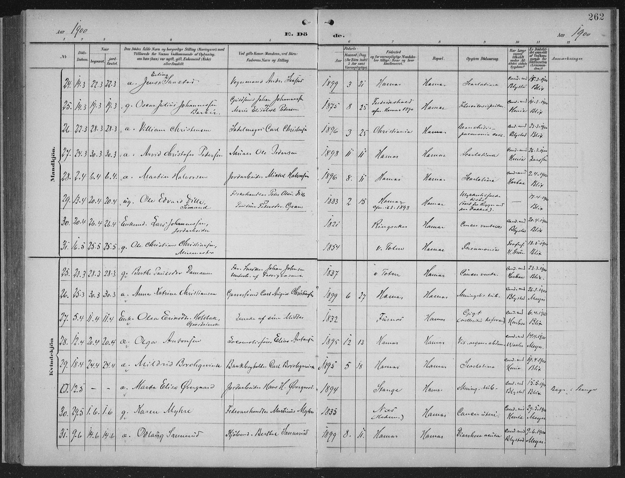 Hamar prestekontor, AV/SAH-DOMPH-002/H/Ha/Haa/L0001: Parish register (official) no. 1, 1900-1914, p. 262