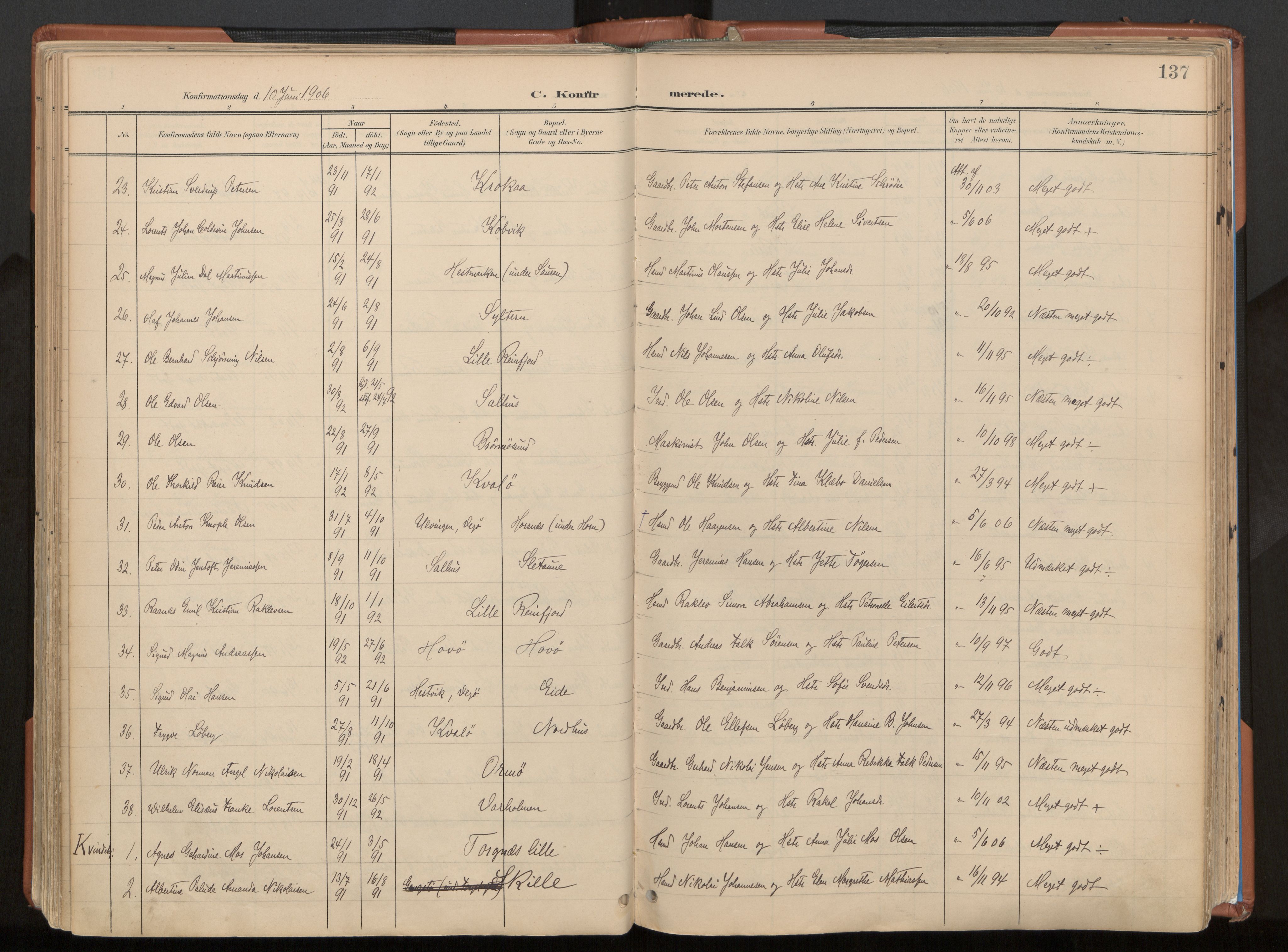 Ministerialprotokoller, klokkerbøker og fødselsregistre - Nordland, SAT/A-1459/813/L0201: Parish register (official) no. 813A11, 1901-1918, p. 137
