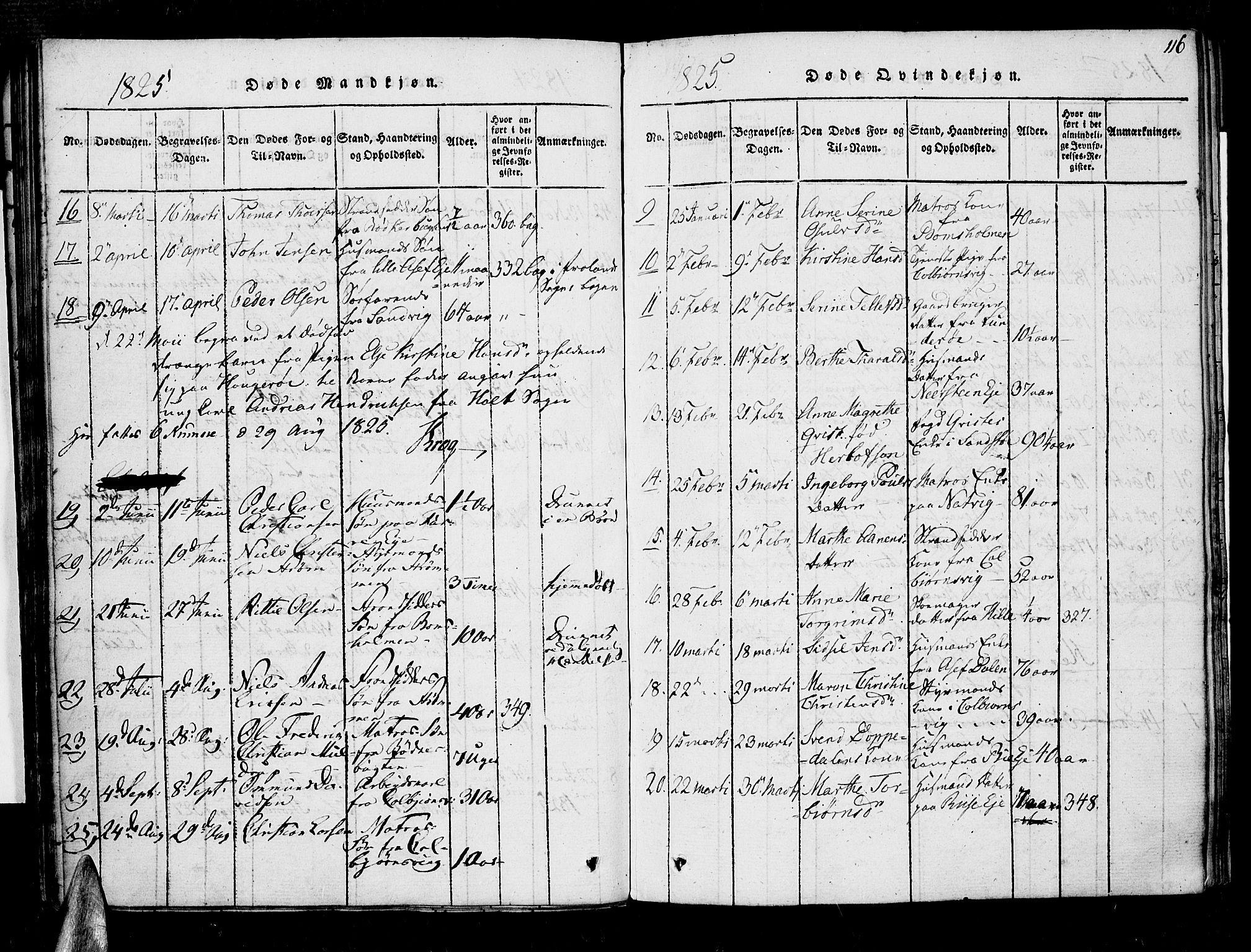 Øyestad sokneprestkontor, AV/SAK-1111-0049/F/Fa/L0012: Parish register (official) no. A 12, 1816-1827, p. 116