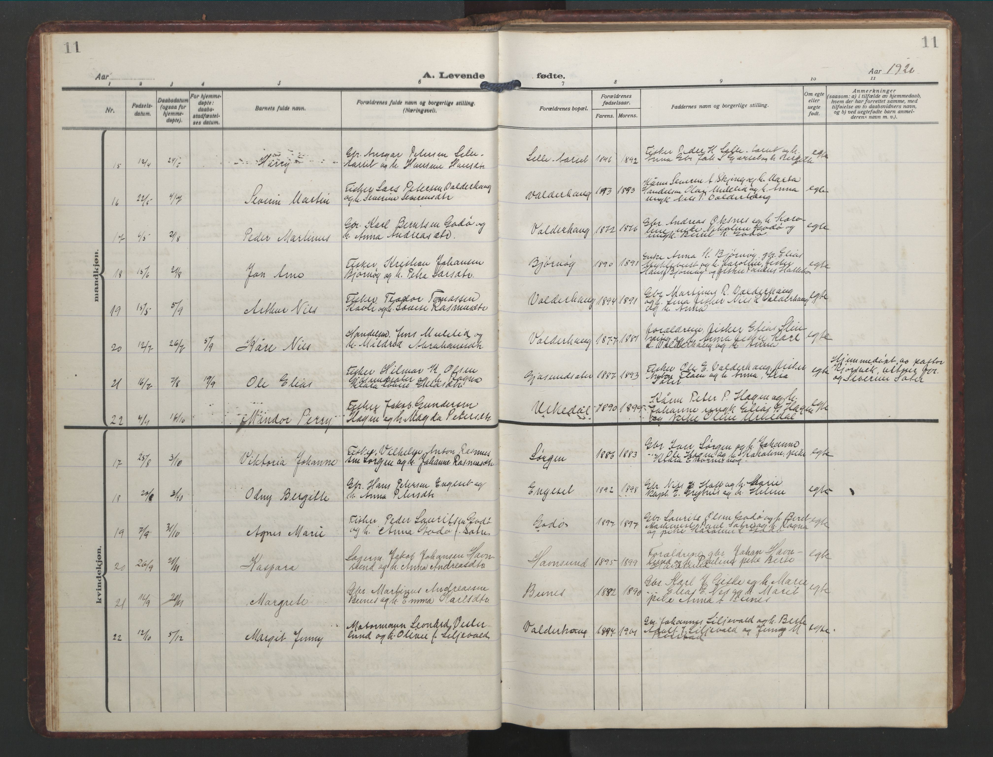 Ministerialprotokoller, klokkerbøker og fødselsregistre - Møre og Romsdal, AV/SAT-A-1454/526/L0384: Parish register (copy) no. 526C01, 1917-1952, p. 11