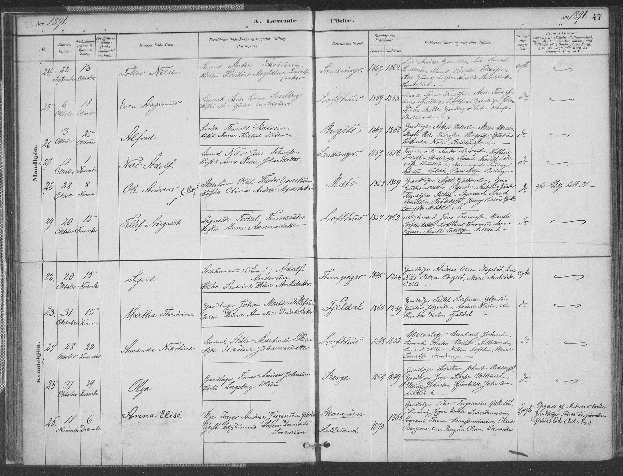 Vestre Moland sokneprestkontor, AV/SAK-1111-0046/F/Fa/Fab/L0009: Parish register (official) no. A 9, 1884-1899, p. 47