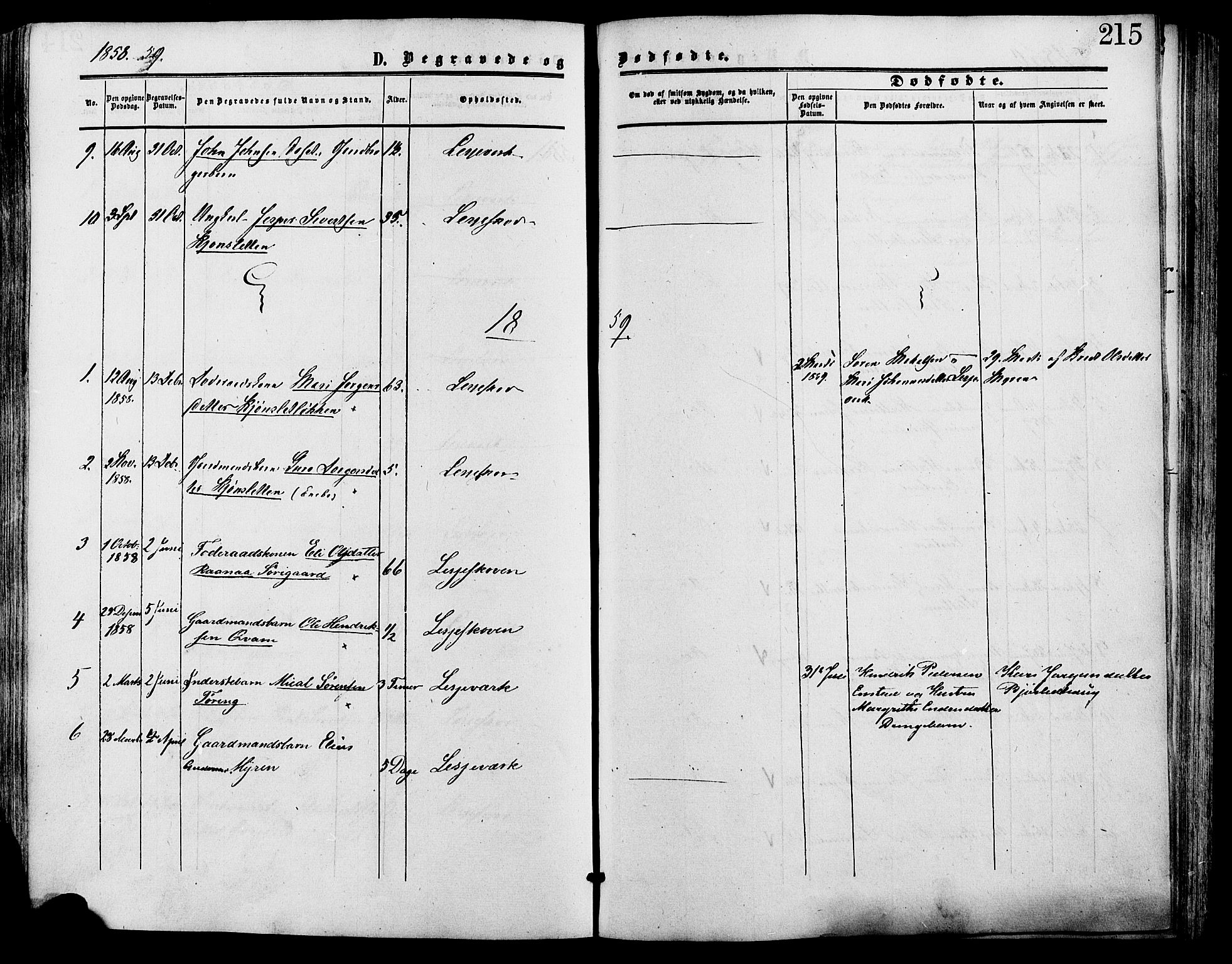 Lesja prestekontor, SAH/PREST-068/H/Ha/Haa/L0009: Parish register (official) no. 9, 1854-1889, p. 215