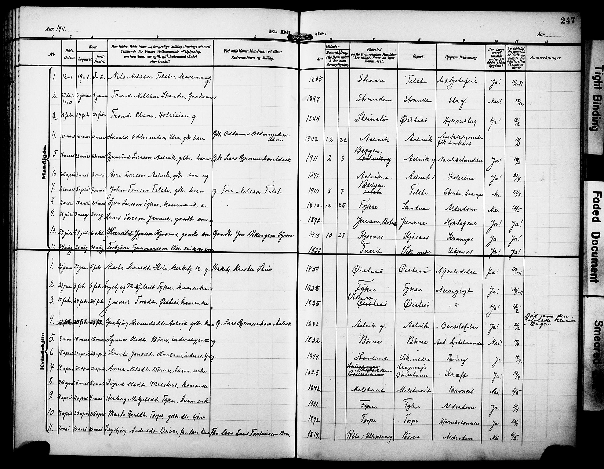 Kvam sokneprestembete, AV/SAB-A-76201/H/Hab: Parish register (copy) no. C 4, 1906-1931, p. 247