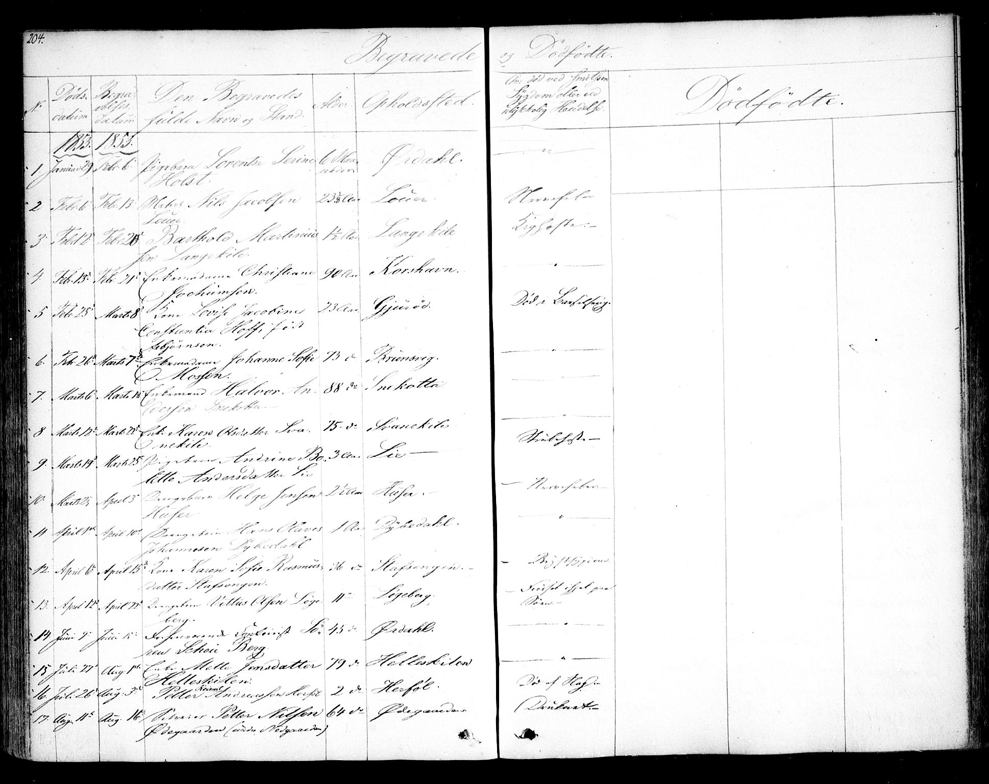 Hvaler prestekontor Kirkebøker, AV/SAO-A-2001/F/Fa/L0006: Parish register (official) no. I 6, 1846-1863, p. 204