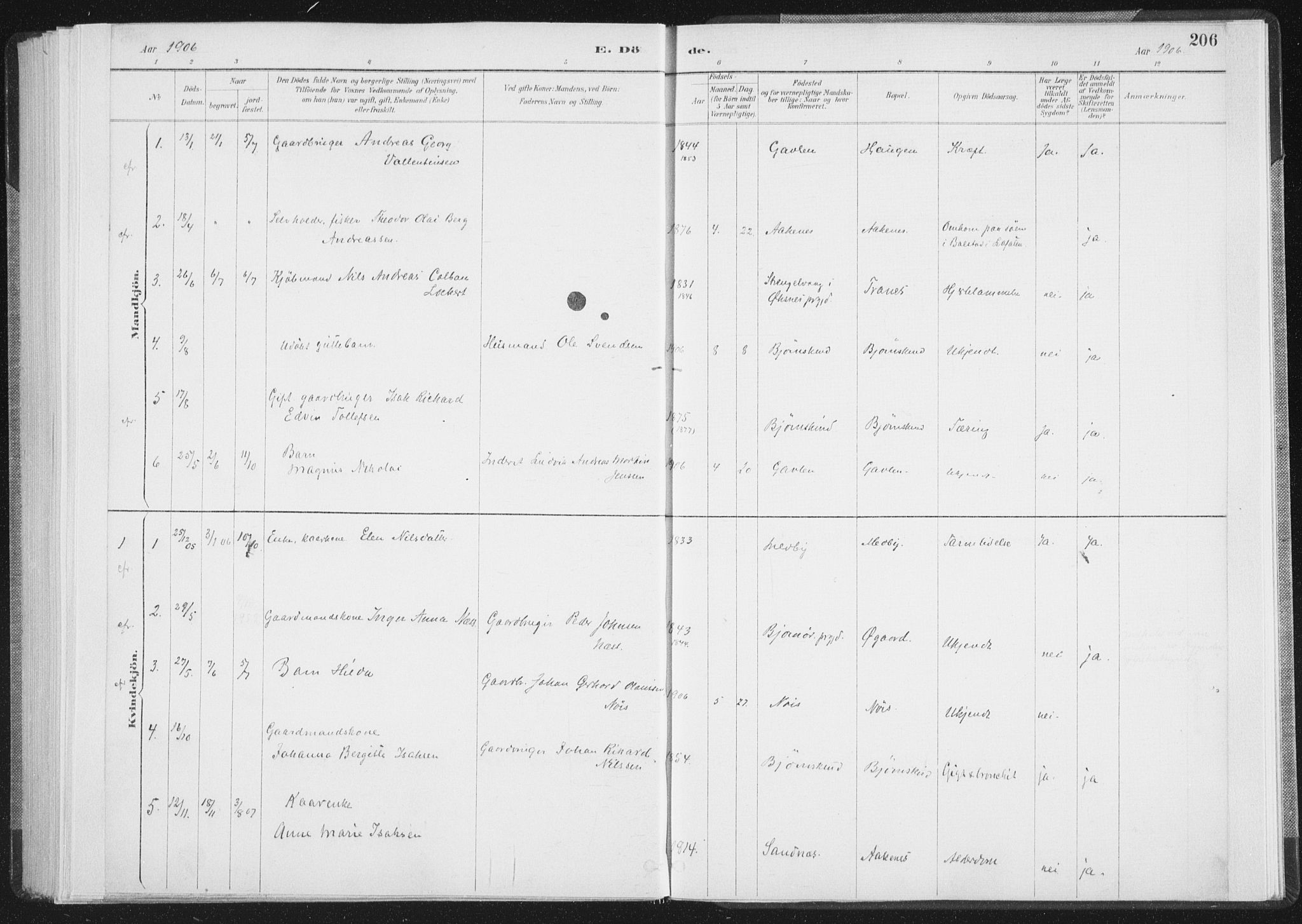 Ministerialprotokoller, klokkerbøker og fødselsregistre - Nordland, SAT/A-1459/898/L1422: Parish register (official) no. 898A02, 1887-1908, p. 206
