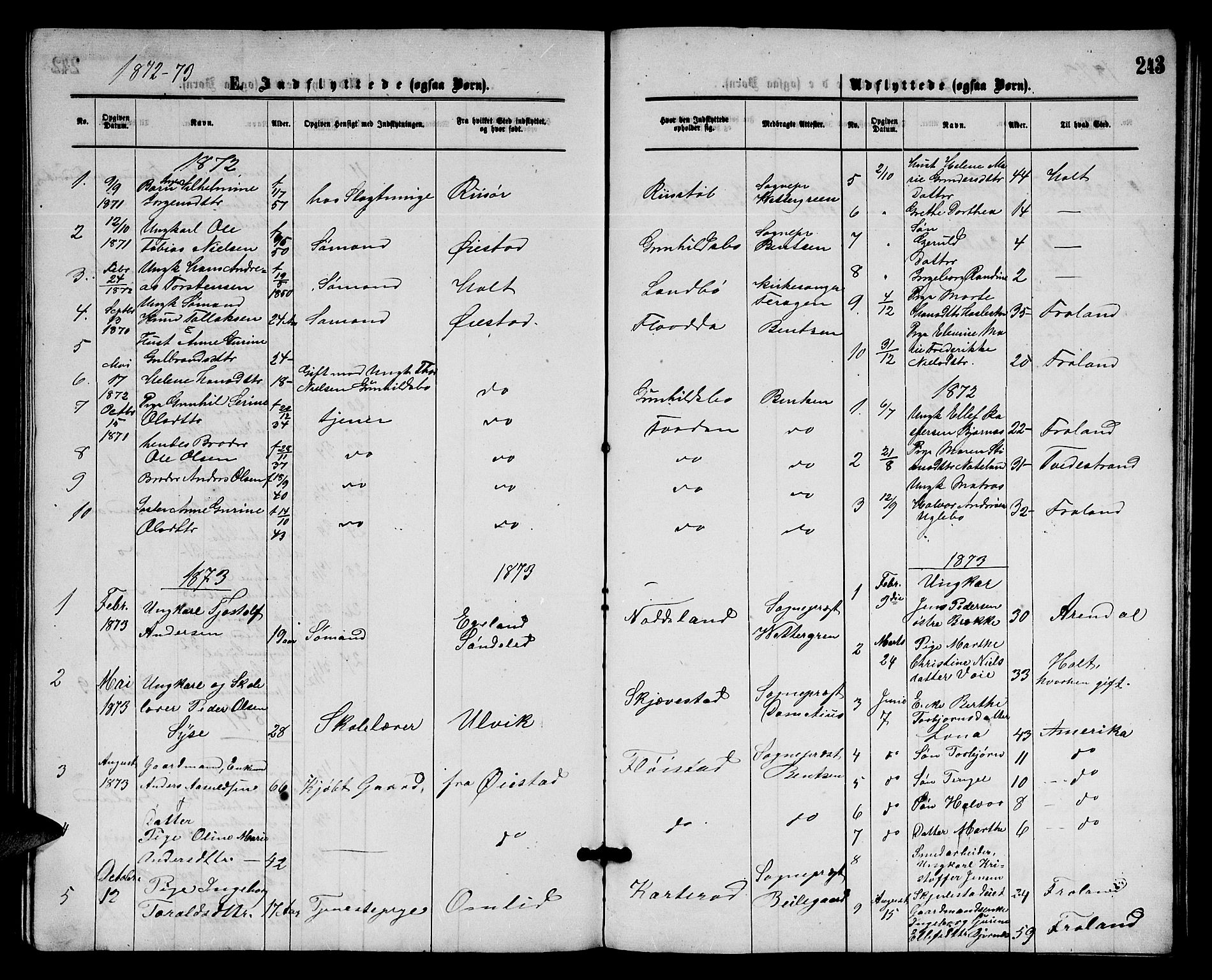 Austre Moland sokneprestkontor, AV/SAK-1111-0001/F/Fb/Fba/L0002: Parish register (copy) no. B 2, 1869-1879, p. 243