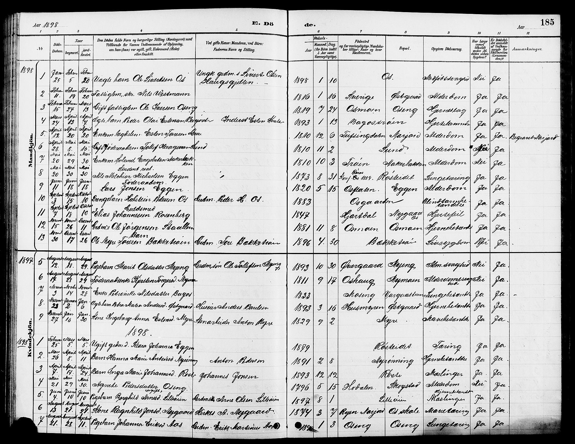 Tolga prestekontor, AV/SAH-PREST-062/L/L0008: Parish register (copy) no. 8, 1887-1912, p. 185