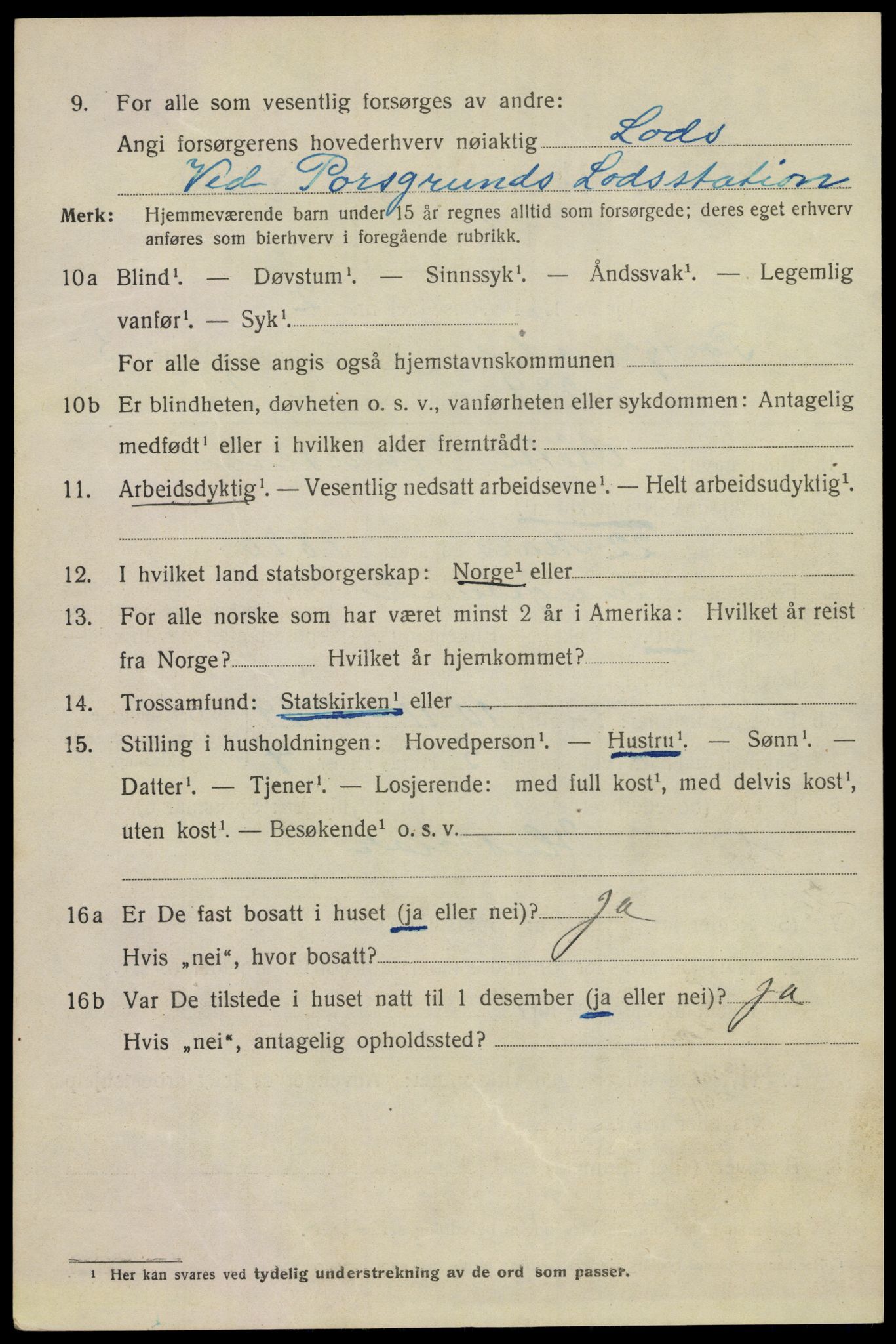 SAKO, 1920 census for Porsgrunn, 1920, p. 17388