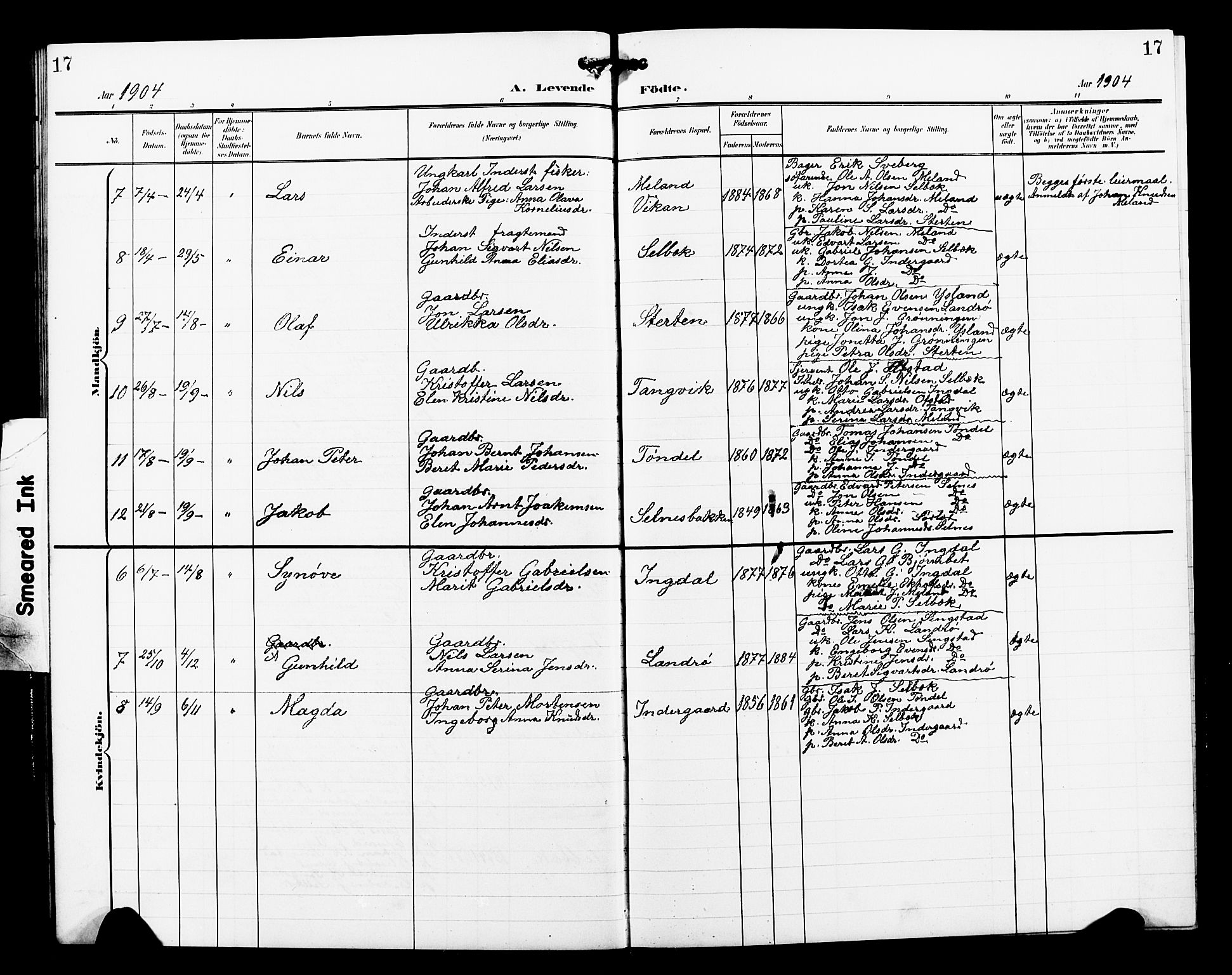 Ministerialprotokoller, klokkerbøker og fødselsregistre - Sør-Trøndelag, SAT/A-1456/663/L0763: Parish register (copy) no. 663C03, 1899-1908, p. 17