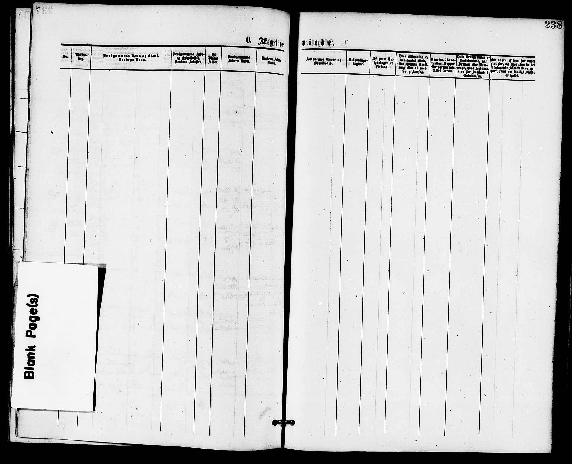 Sem kirkebøker, AV/SAKO-A-5/F/Fa/L0009: Parish register (official) no. I 9, 1874-1877, p. 238