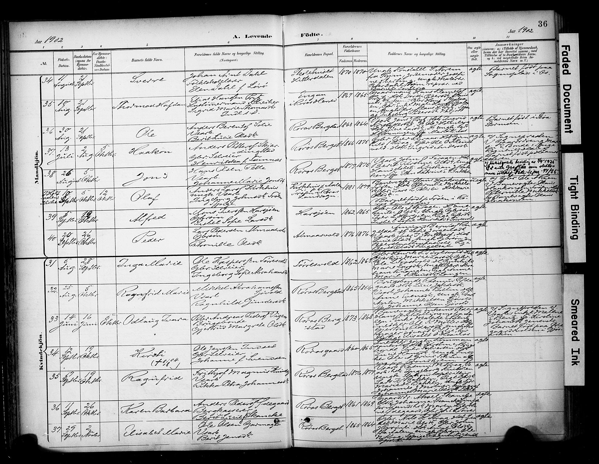 Ministerialprotokoller, klokkerbøker og fødselsregistre - Sør-Trøndelag, AV/SAT-A-1456/681/L0936: Parish register (official) no. 681A14, 1899-1908, p. 36