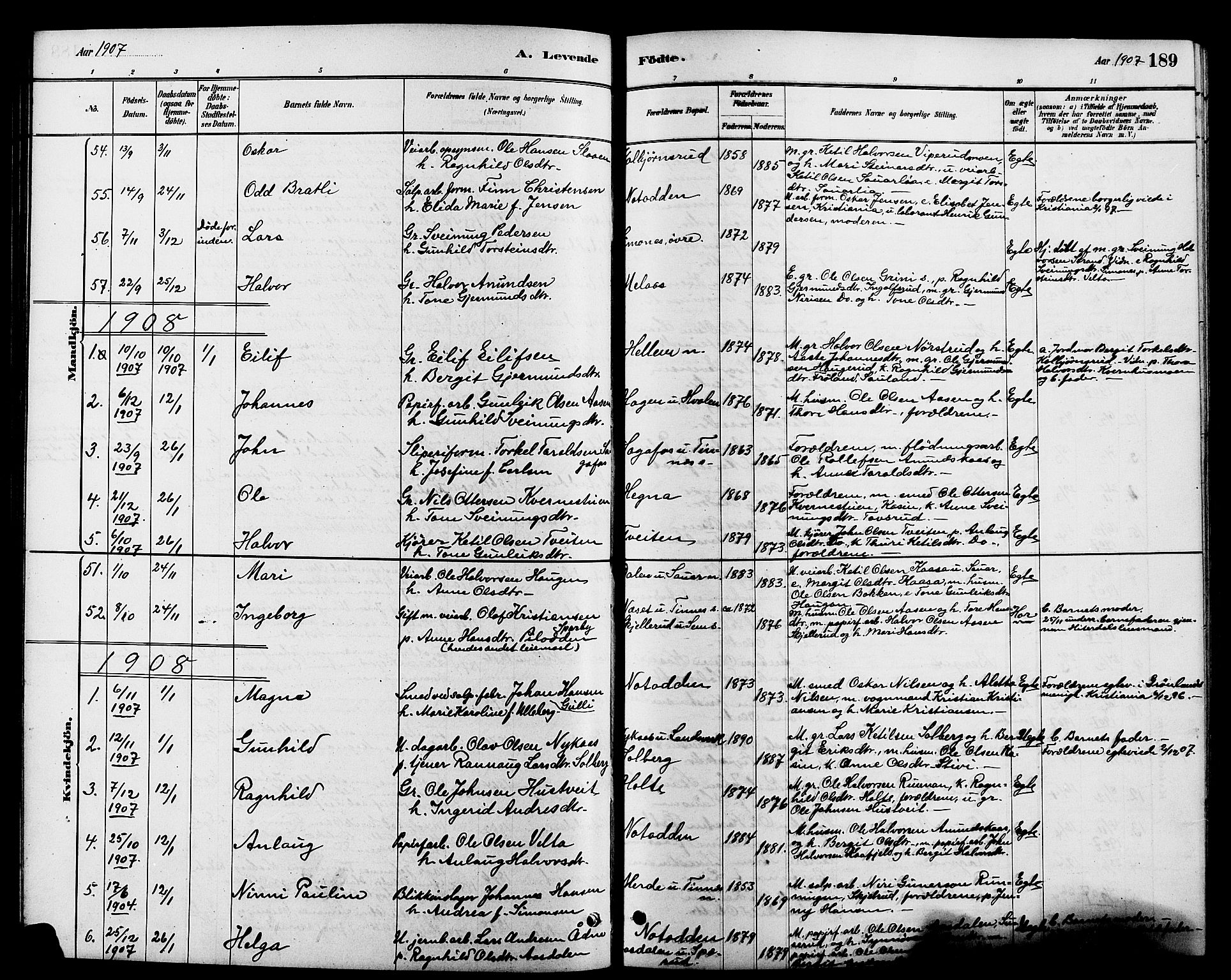 Heddal kirkebøker, SAKO/A-268/G/Ga/L0002: Parish register (copy) no. I 2, 1879-1908, p. 189