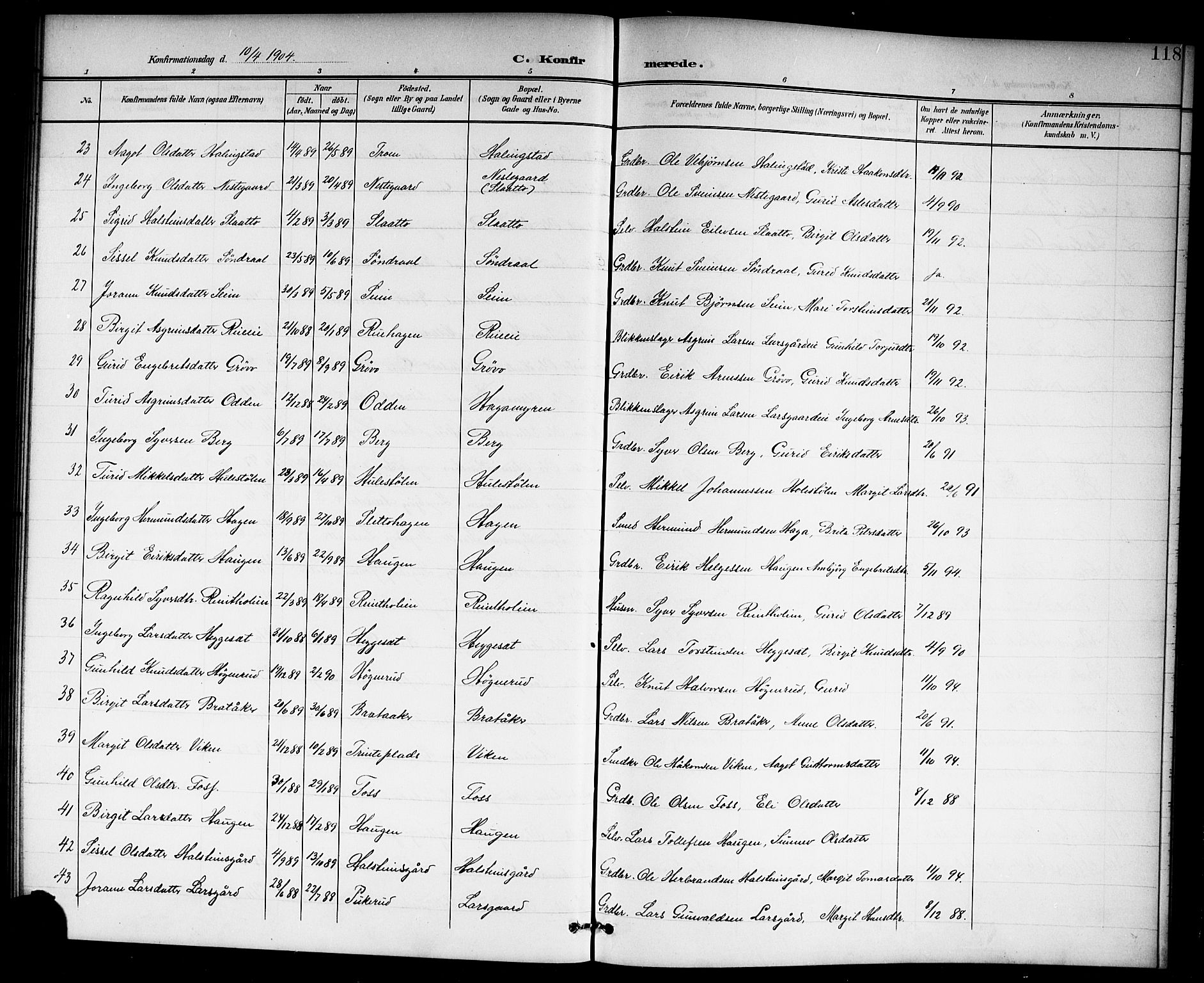 Hol kirkebøker, AV/SAKO-A-227/G/Ga/L0001: Parish register (copy) no. I 1, 1900-1919, p. 118