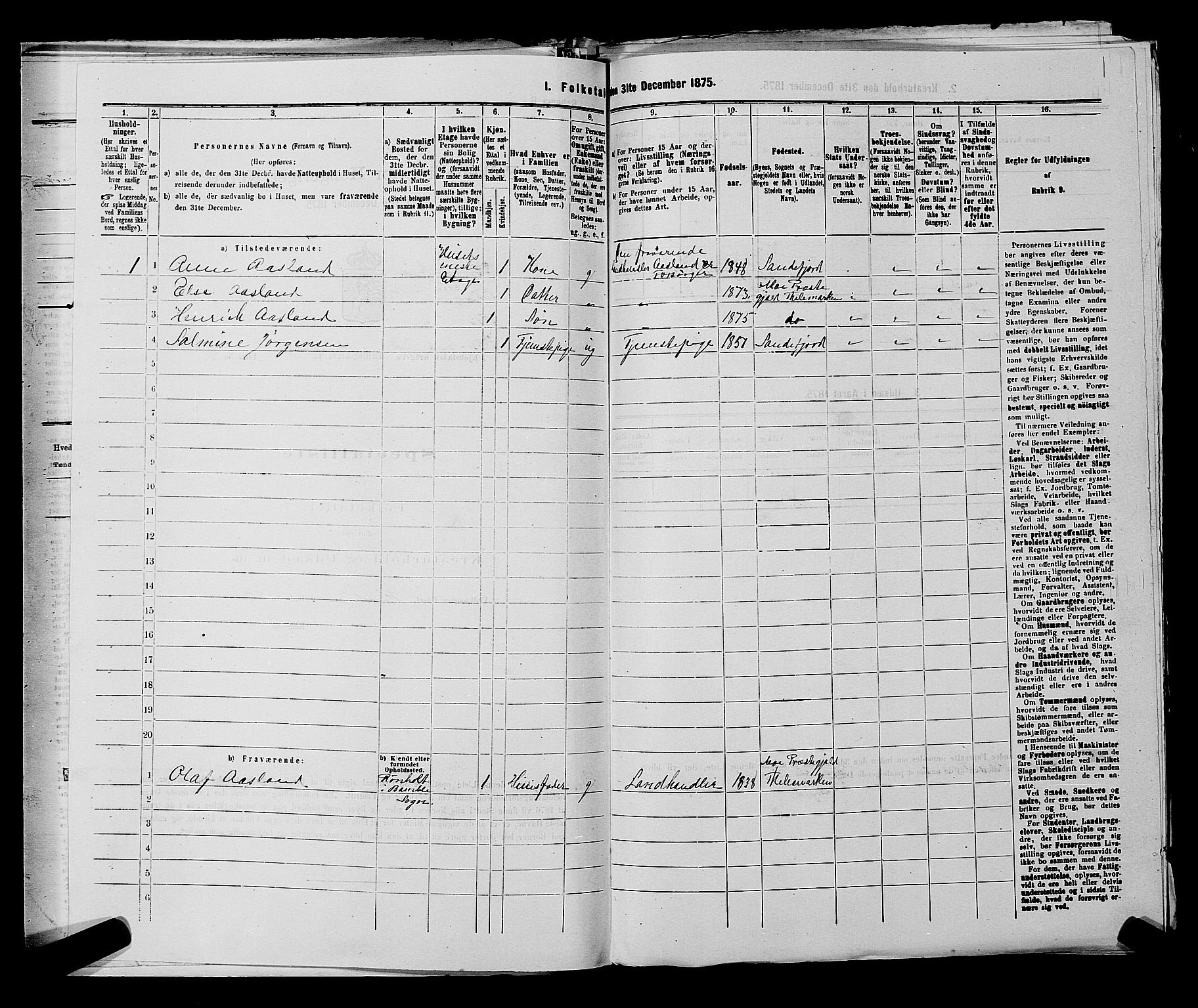 SAKO, 1875 census for 0801P Kragerø, 1875, p. 423