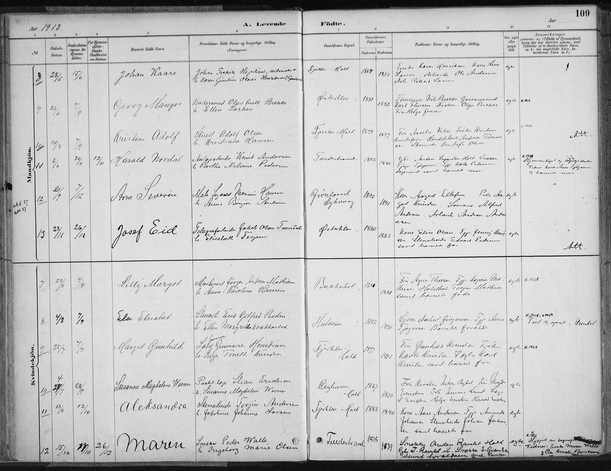 Tvedestrand sokneprestkontor, AV/SAK-1111-0042/F/Fa/L0001: Parish register (official) no. A 1, 1885-1916, p. 109