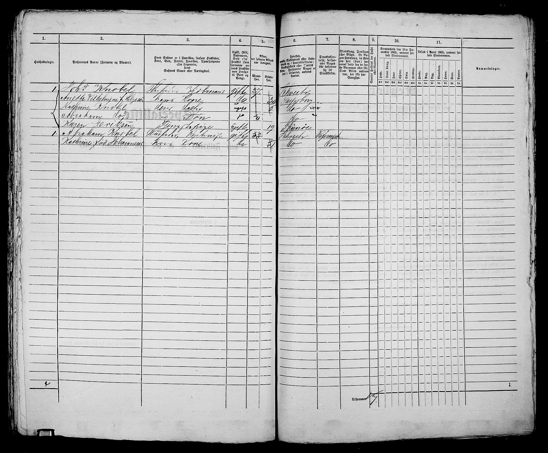 RA, 1865 census for Sarpsborg, 1865, p. 376