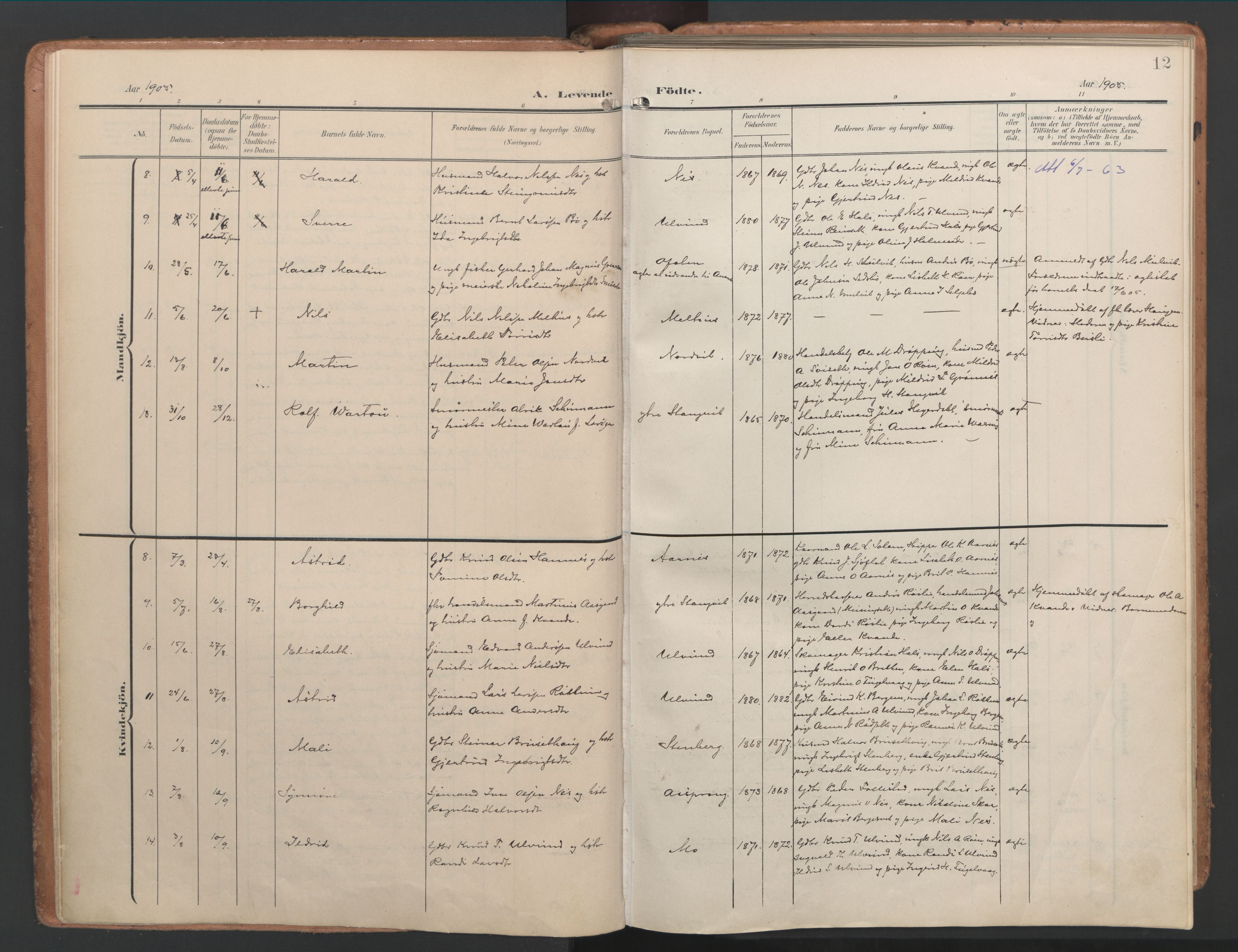 Ministerialprotokoller, klokkerbøker og fødselsregistre - Møre og Romsdal, AV/SAT-A-1454/592/L1030: Parish register (official) no. 592A08, 1901-1925, p. 12