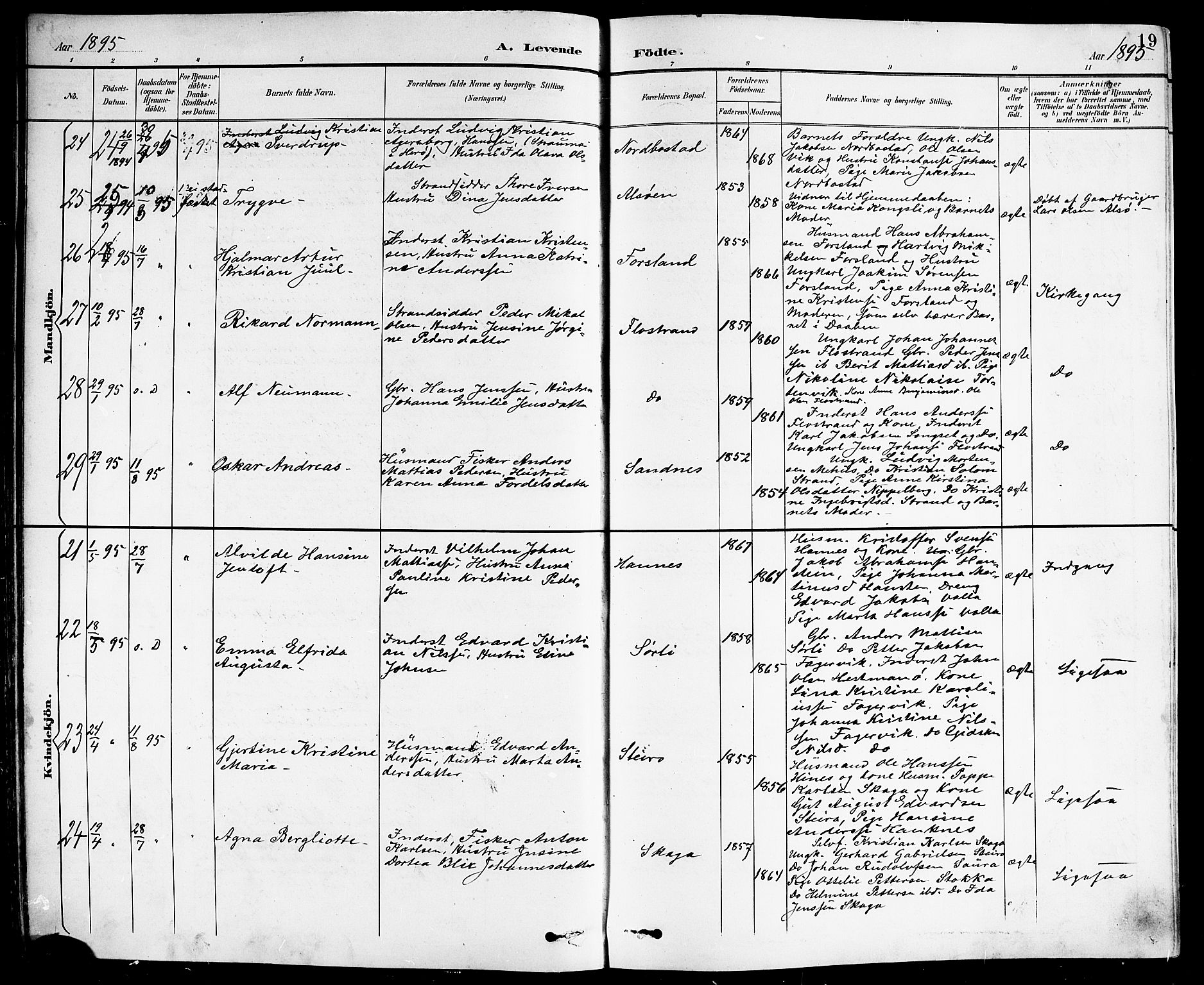 Ministerialprotokoller, klokkerbøker og fødselsregistre - Nordland, AV/SAT-A-1459/838/L0559: Parish register (copy) no. 838C06, 1893-1910, p. 19