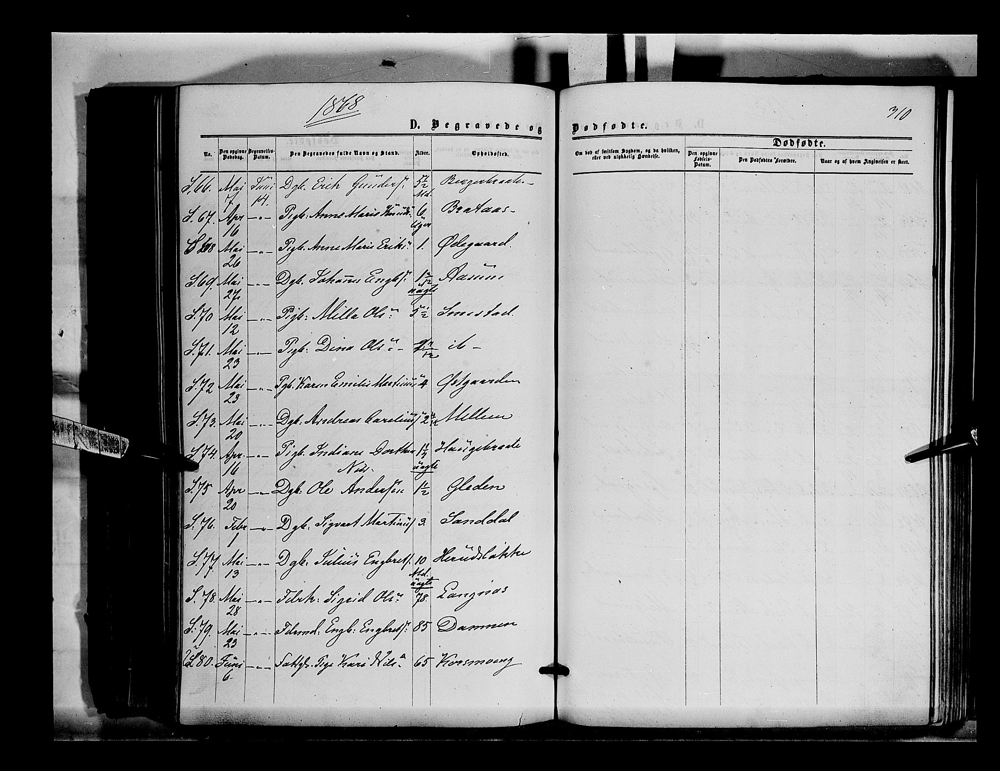 Sør-Odal prestekontor, AV/SAH-PREST-030/H/Ha/Haa/L0003: Parish register (official) no. 3, 1864-1870, p. 310