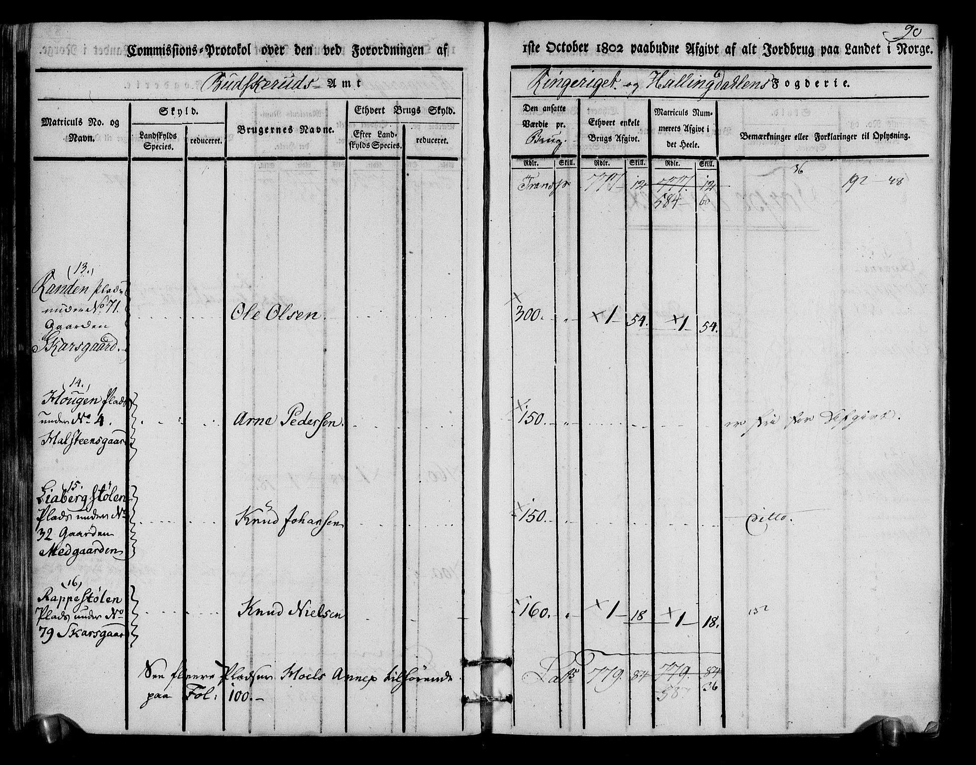 Rentekammeret inntil 1814, Realistisk ordnet avdeling, RA/EA-4070/N/Ne/Nea/L0048: Ringerike og Hallingdal fogderi. Kommisjonsprotokoll for Ål prestegjeld, 1803, p. 94