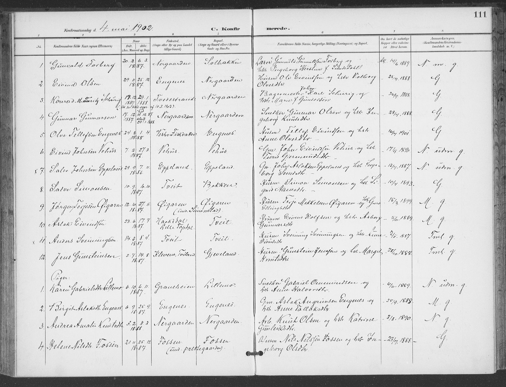 Åmli sokneprestkontor, AV/SAK-1111-0050/F/Fa/Fac/L0012: Parish register (official) no. A 12, 1900-1914, p. 111