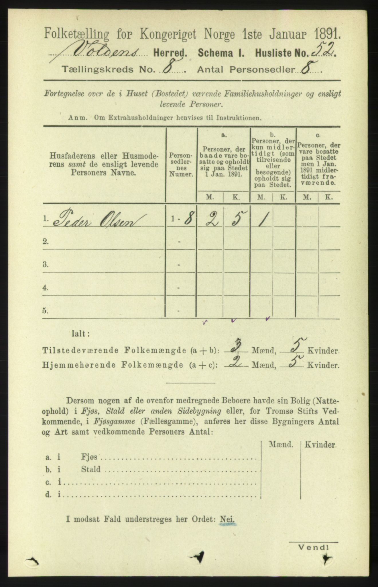 RA, 1891 census for 1519 Volda, 1891, p. 3821