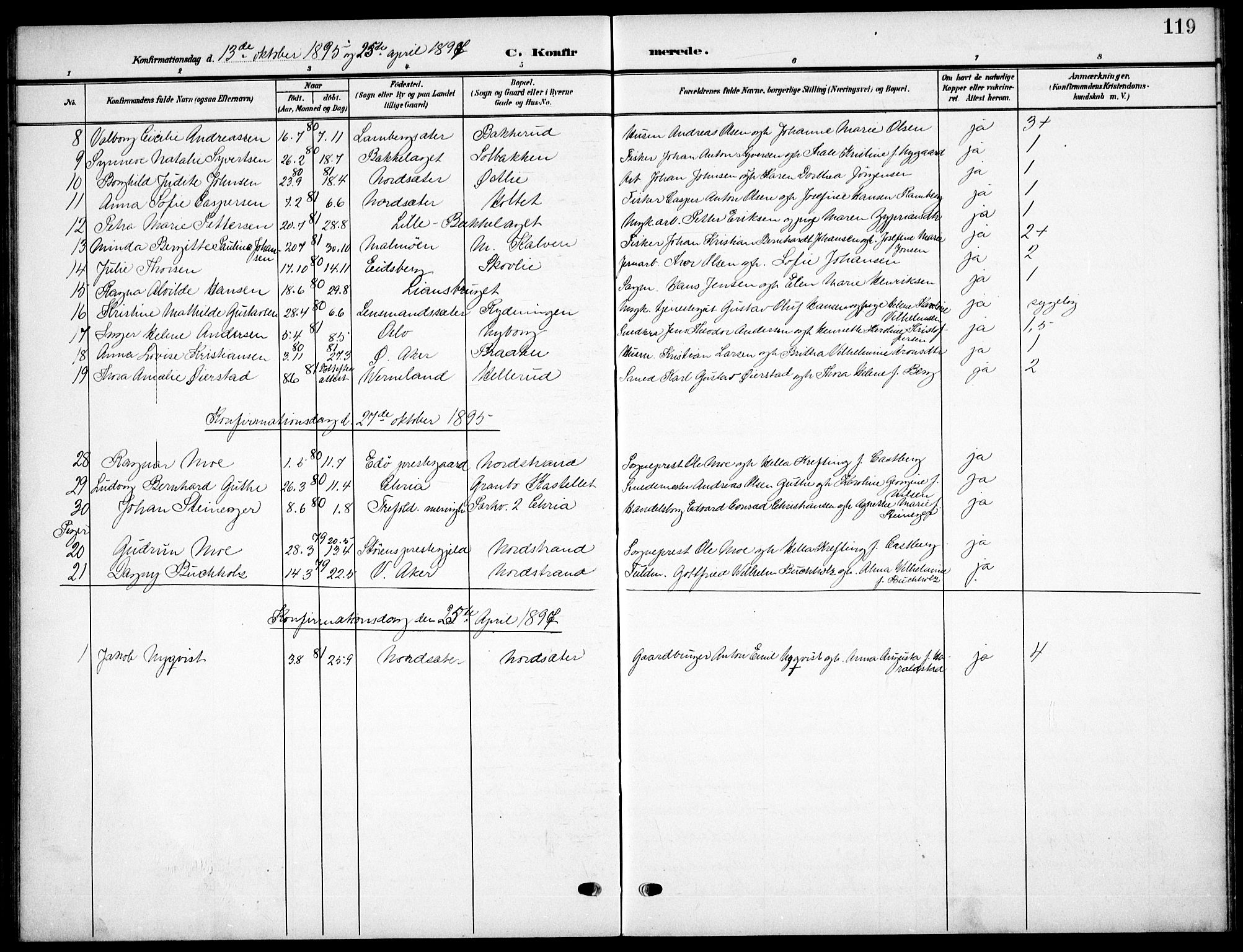 Nordstrand prestekontor Kirkebøker, AV/SAO-A-10362a/F/Fa/L0000: Parish register (official) no.  0, 1881-1900, p. 119