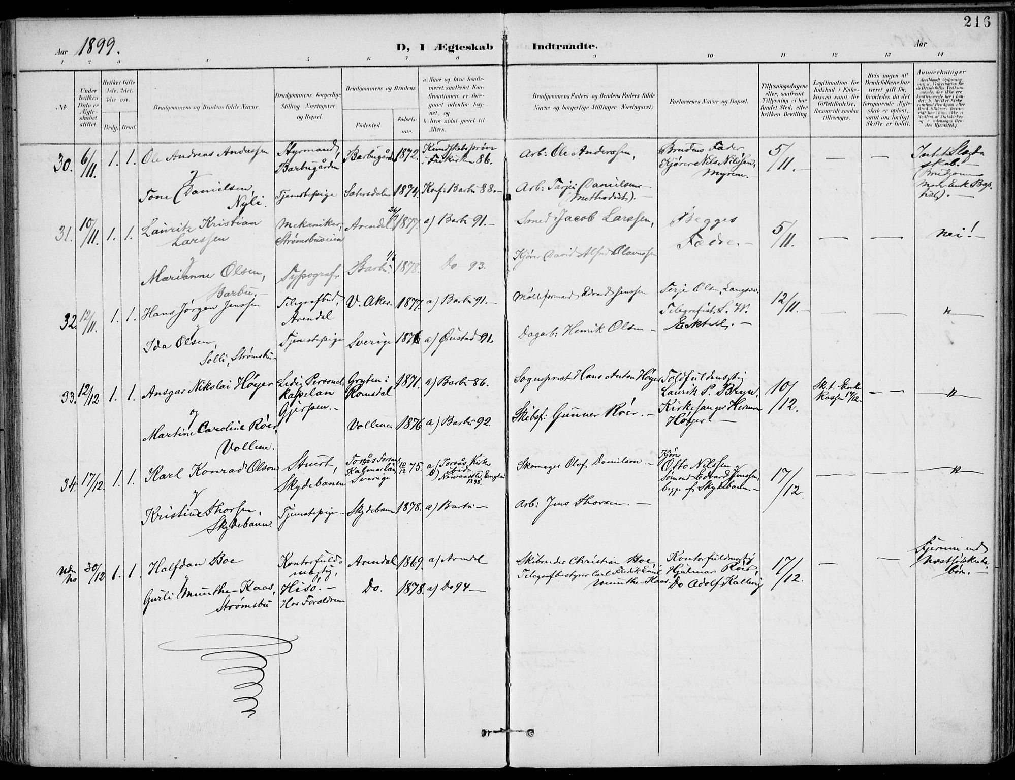 Barbu sokneprestkontor, AV/SAK-1111-0003/F/Fa/L0005: Parish register (official) no. A 5, 1899-1909, p. 216