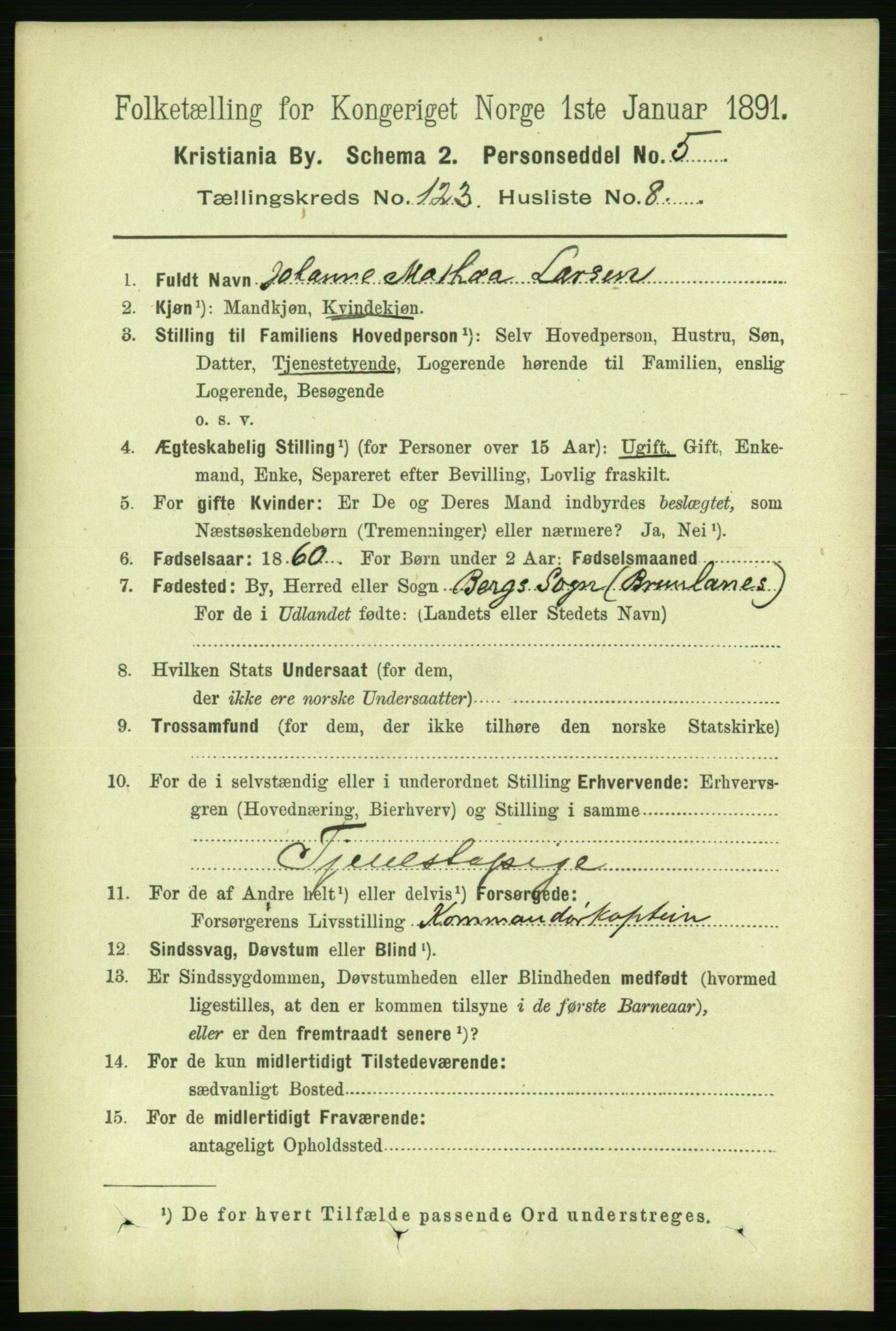 RA, 1891 census for 0301 Kristiania, 1891, p. 65191