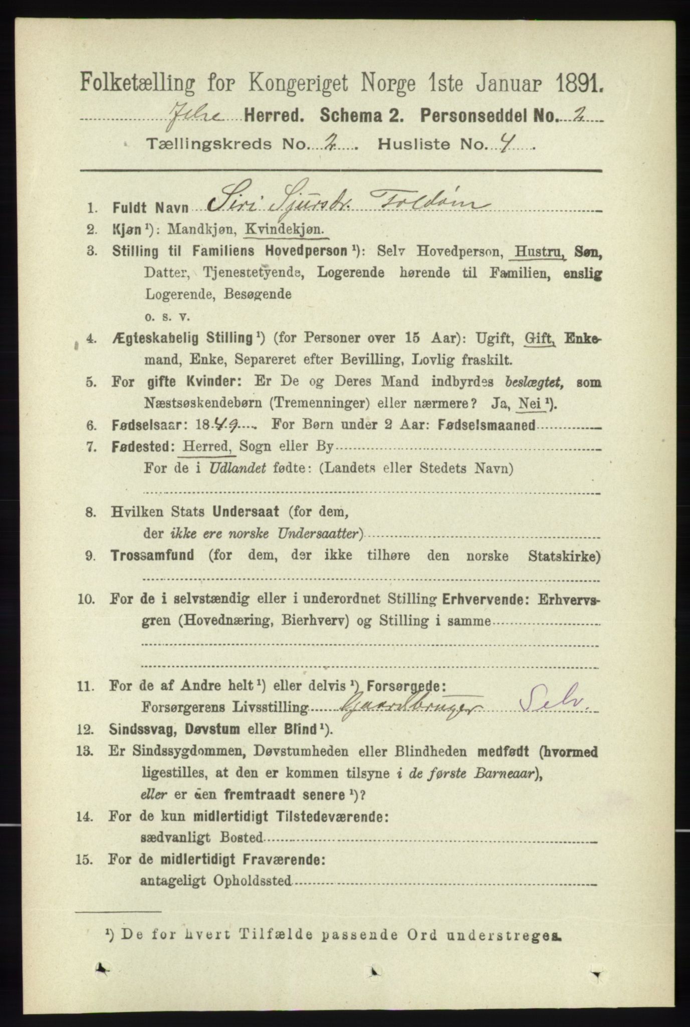 RA, 1891 census for 1138 Jelsa, 1891, p. 256