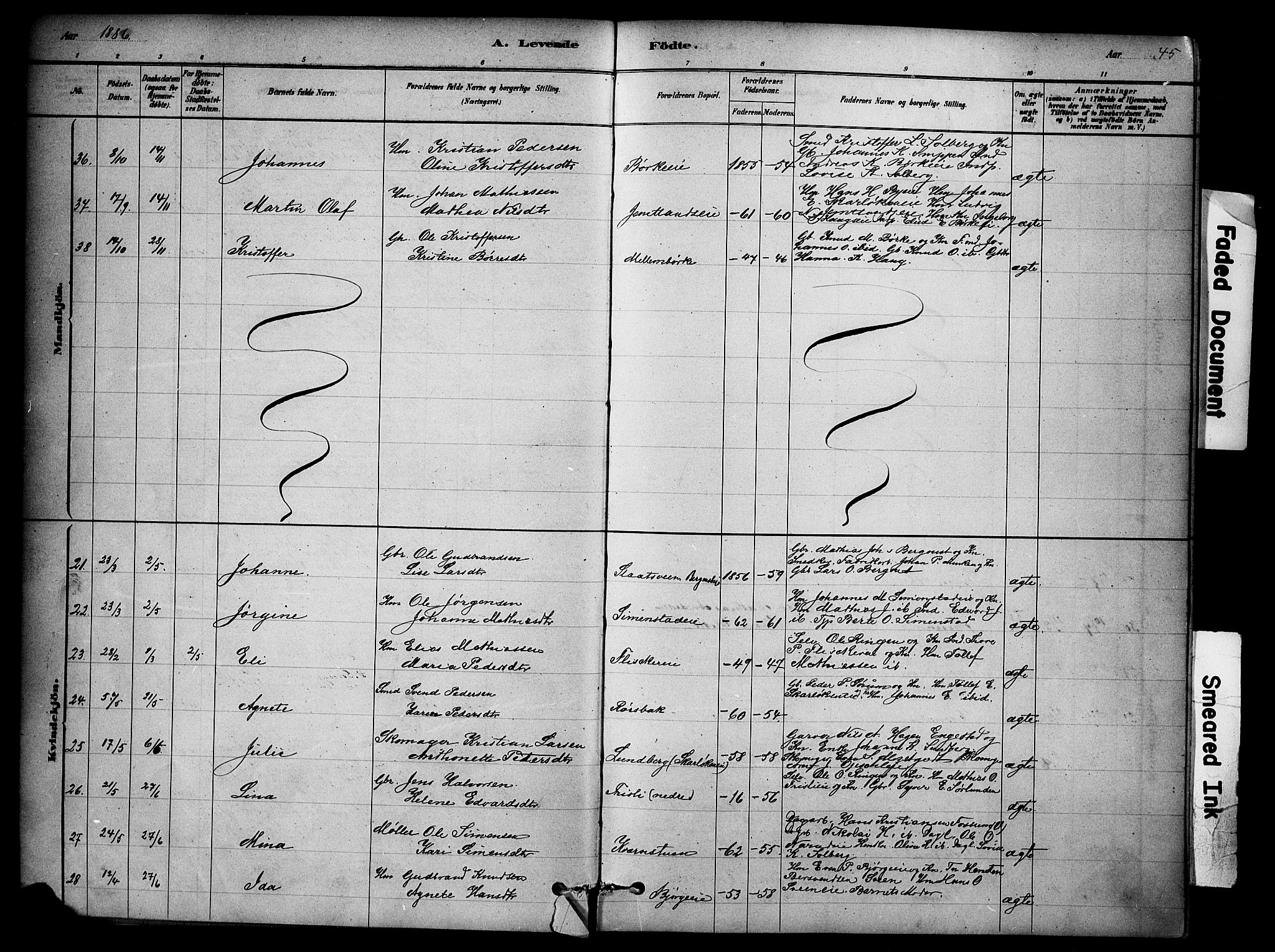 Ringsaker prestekontor, AV/SAH-PREST-014/K/Ka/L0014: Parish register (official) no. 14, 1879-1890, p. 45