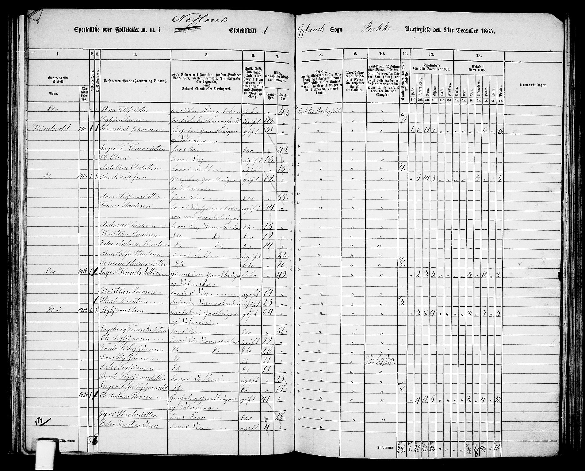 RA, 1865 census for Bakke, 1865, p. 56