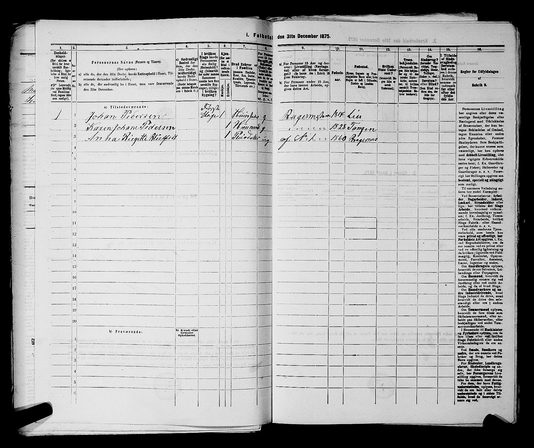 SAKO, 1875 census for 0602 Drammen, 1875, p. 1843