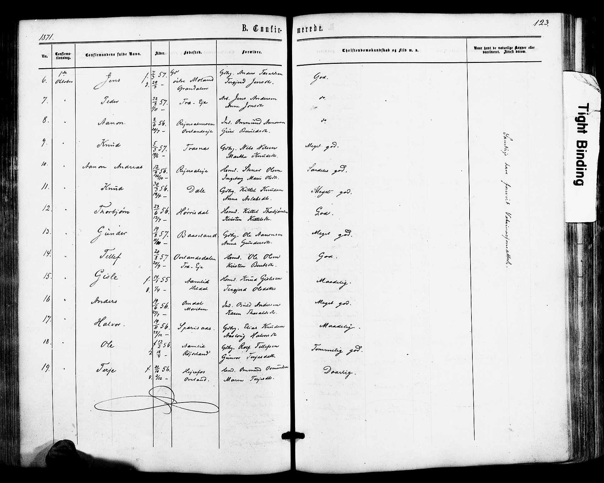 Froland sokneprestkontor, AV/SAK-1111-0013/F/Fa/L0003: Parish register (official) no. A 3, 1864-1881, p. 123