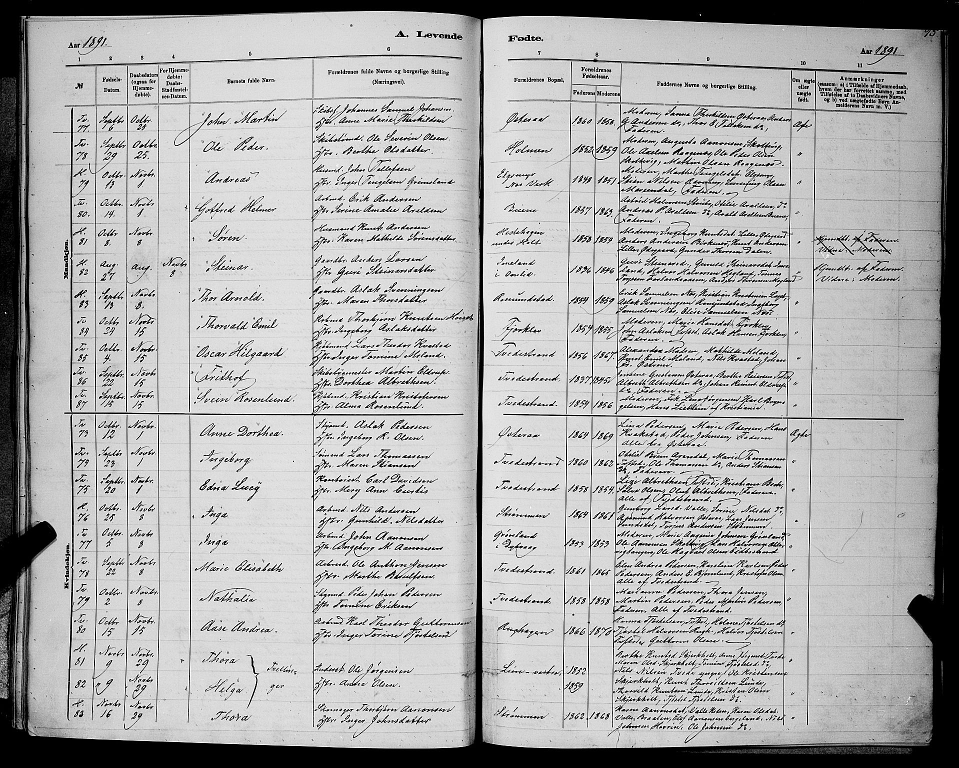 Holt sokneprestkontor, SAK/1111-0021/F/Fb/L0010: Parish register (copy) no. B 10, 1883-1896, p. 93