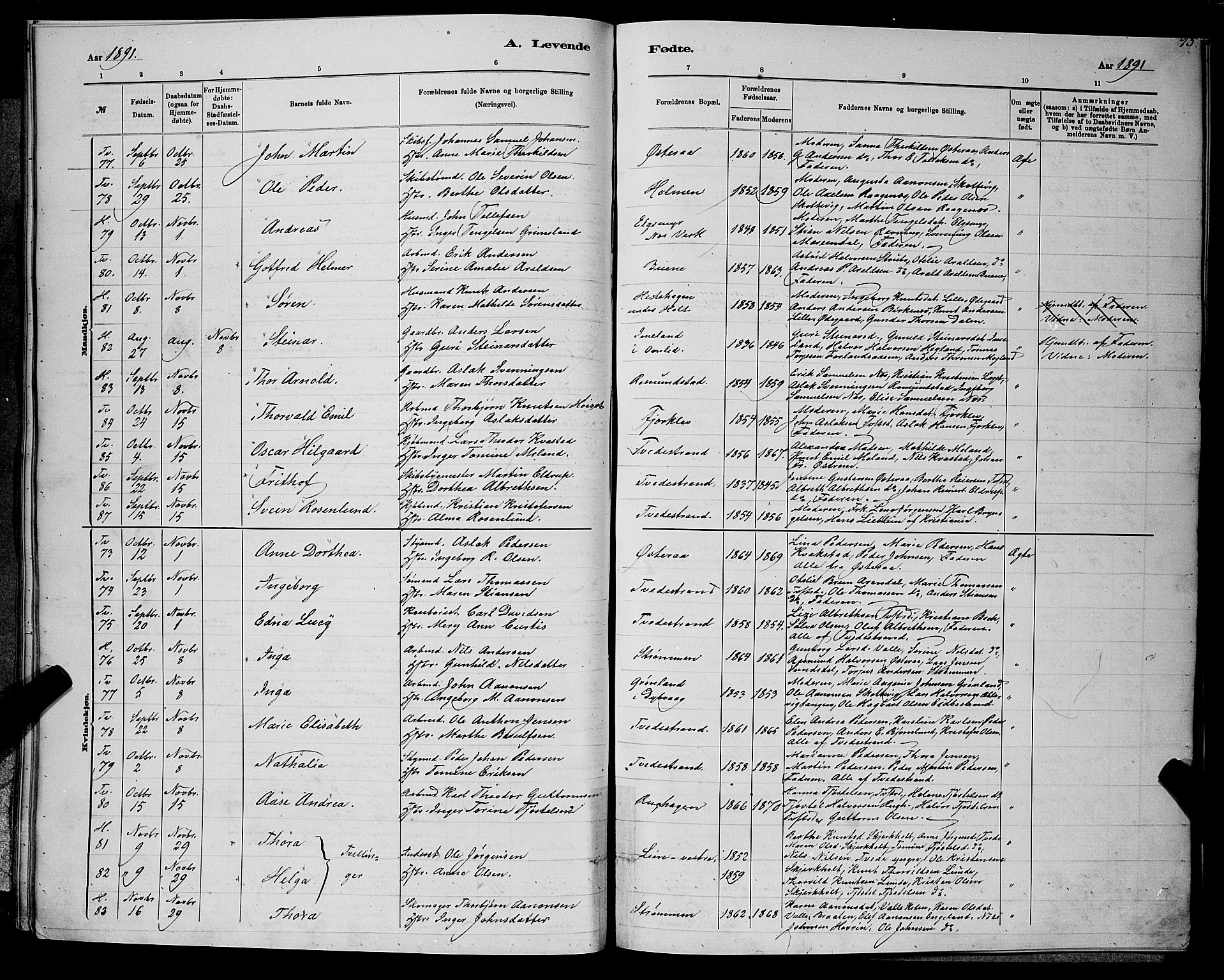 Holt sokneprestkontor, AV/SAK-1111-0021/F/Fb/L0010: Parish register (copy) no. B 10, 1883-1896, p. 93