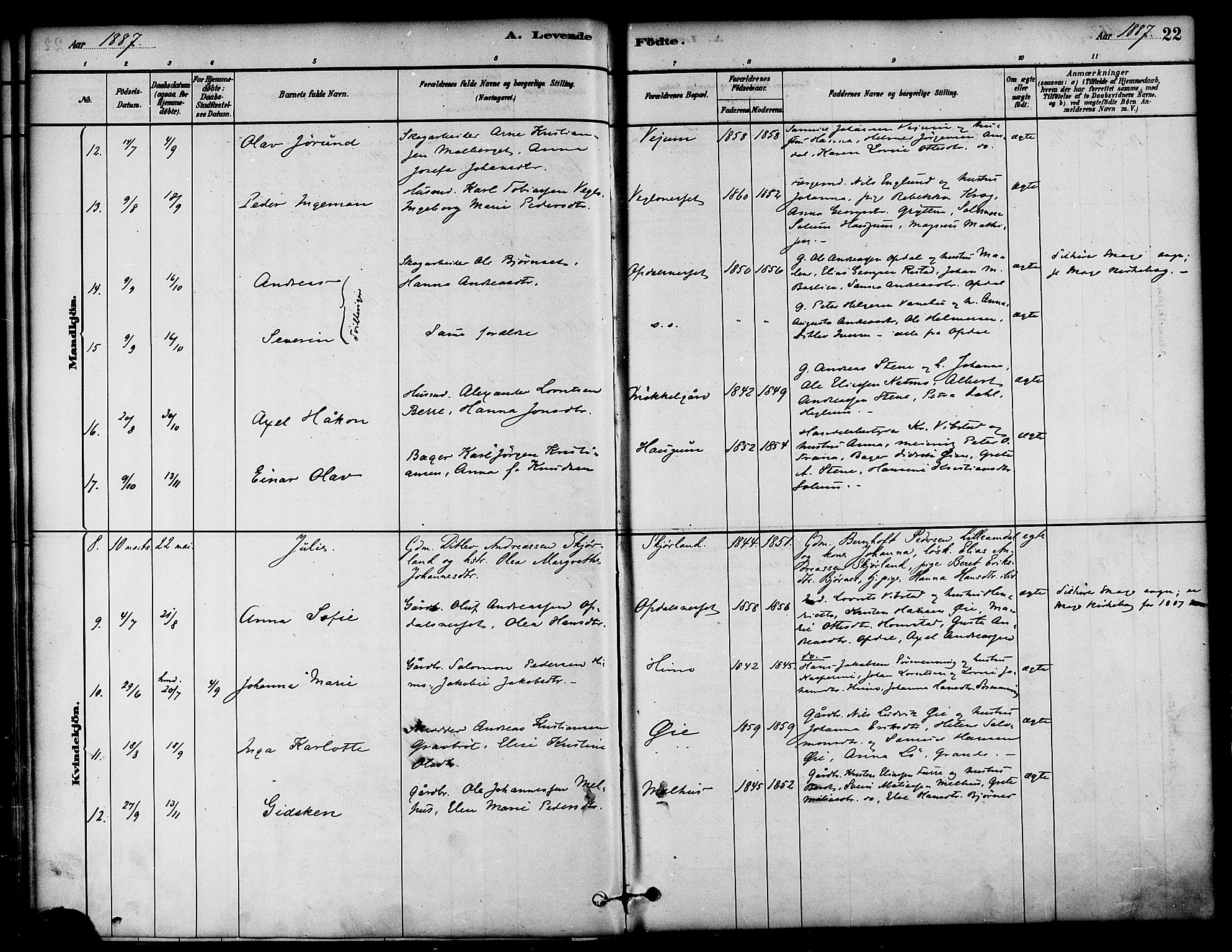 Ministerialprotokoller, klokkerbøker og fødselsregistre - Nord-Trøndelag, SAT/A-1458/764/L0555: Parish register (official) no. 764A10, 1881-1896, p. 22