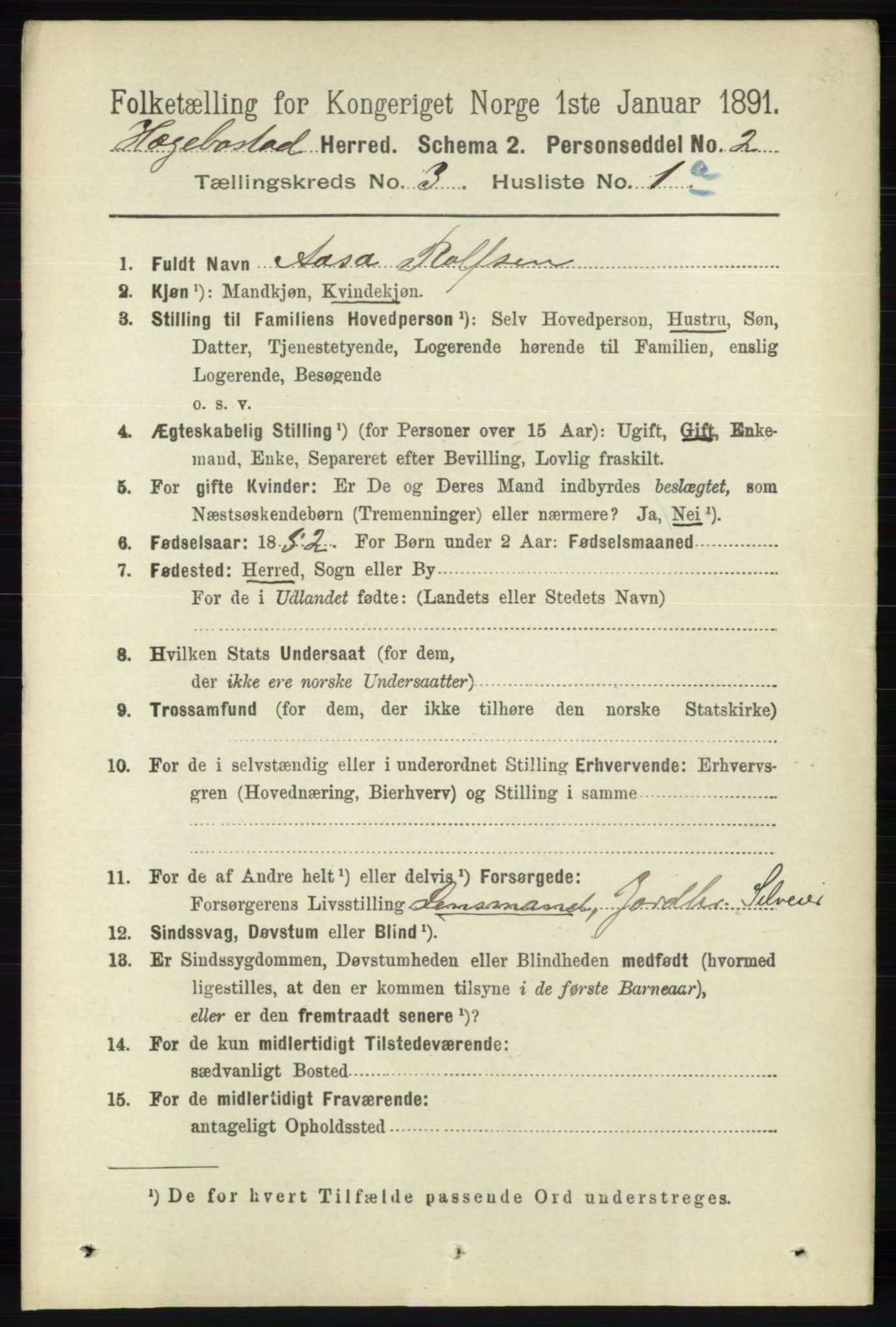 RA, 1891 census for 1034 Hægebostad, 1891, p. 877