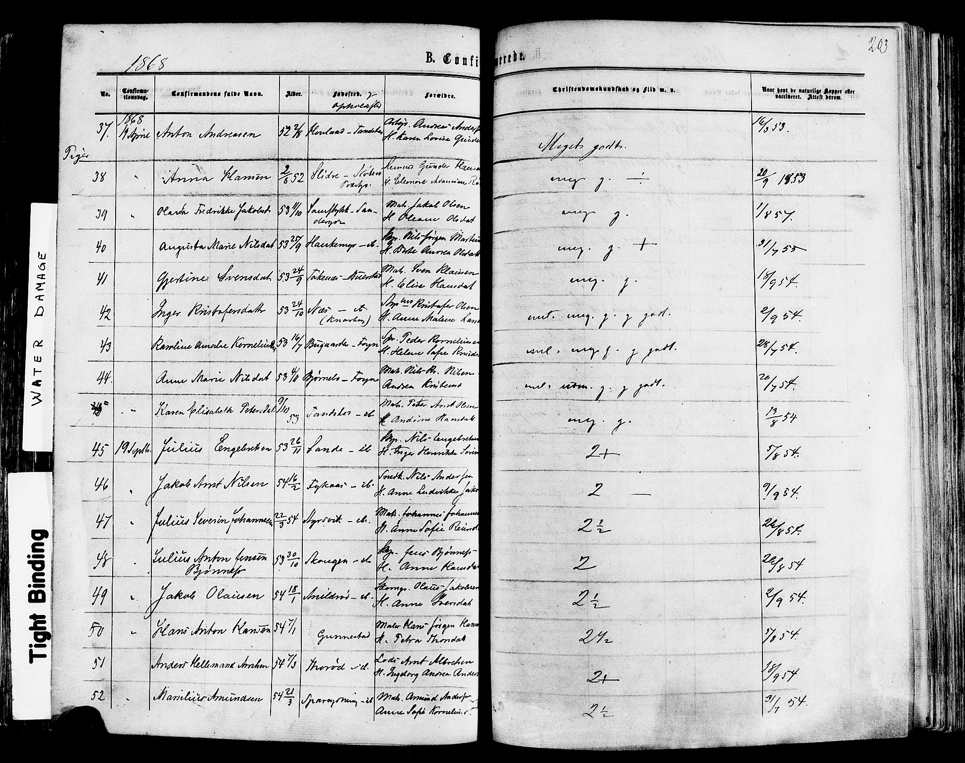 Nøtterøy kirkebøker, SAKO/A-354/F/Fa/L0007: Parish register (official) no. I 7, 1865-1877, p. 203