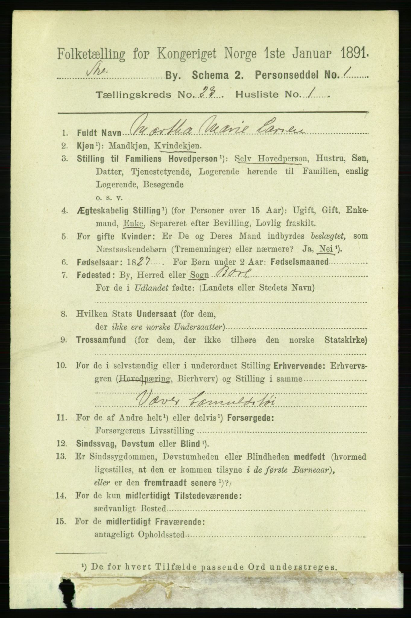 RA, 1891 census for 1103 Stavanger, 1891, p. 25252