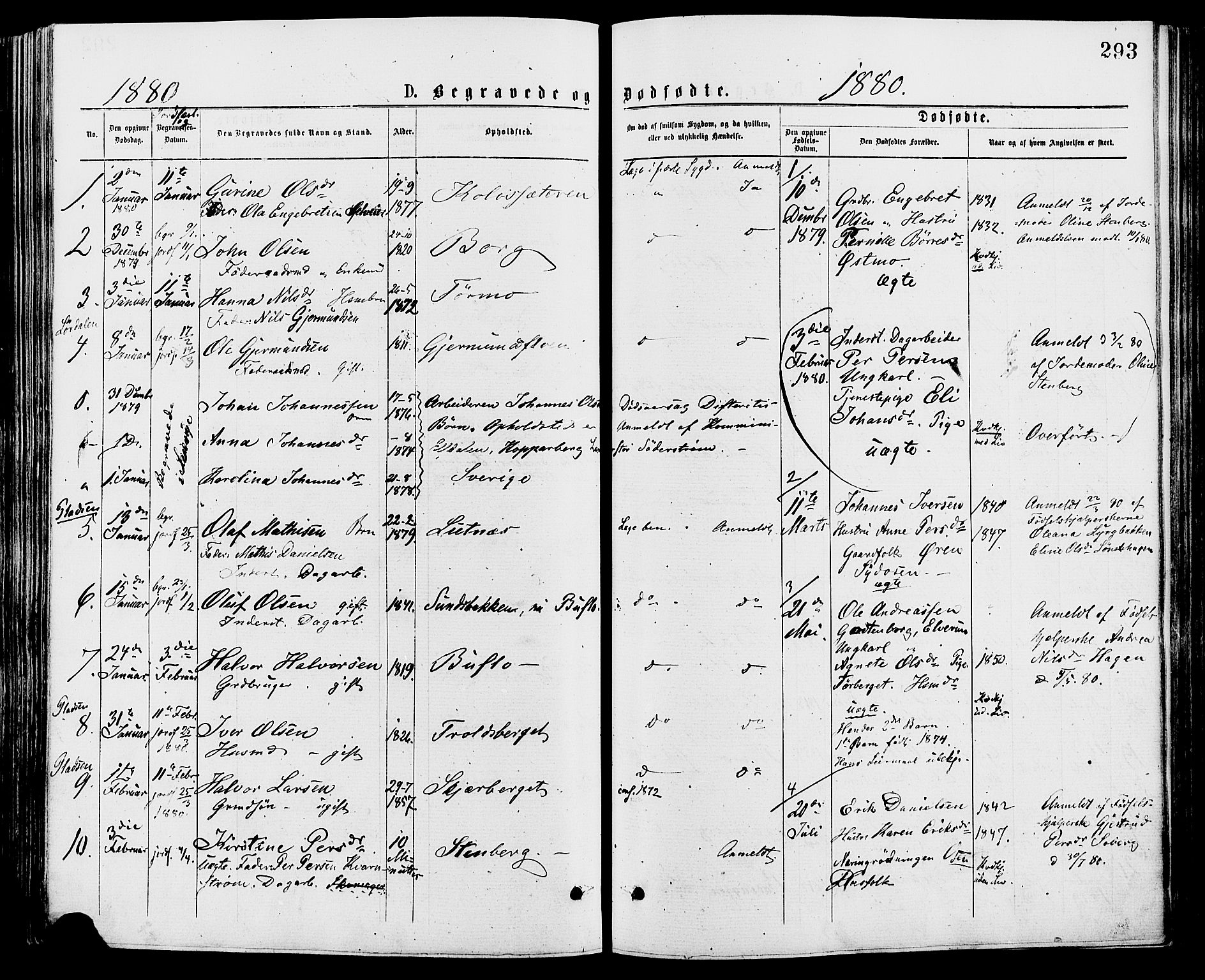 Trysil prestekontor, SAH/PREST-046/H/Ha/Haa/L0007: Parish register (official) no. 7, 1874-1880, p. 293