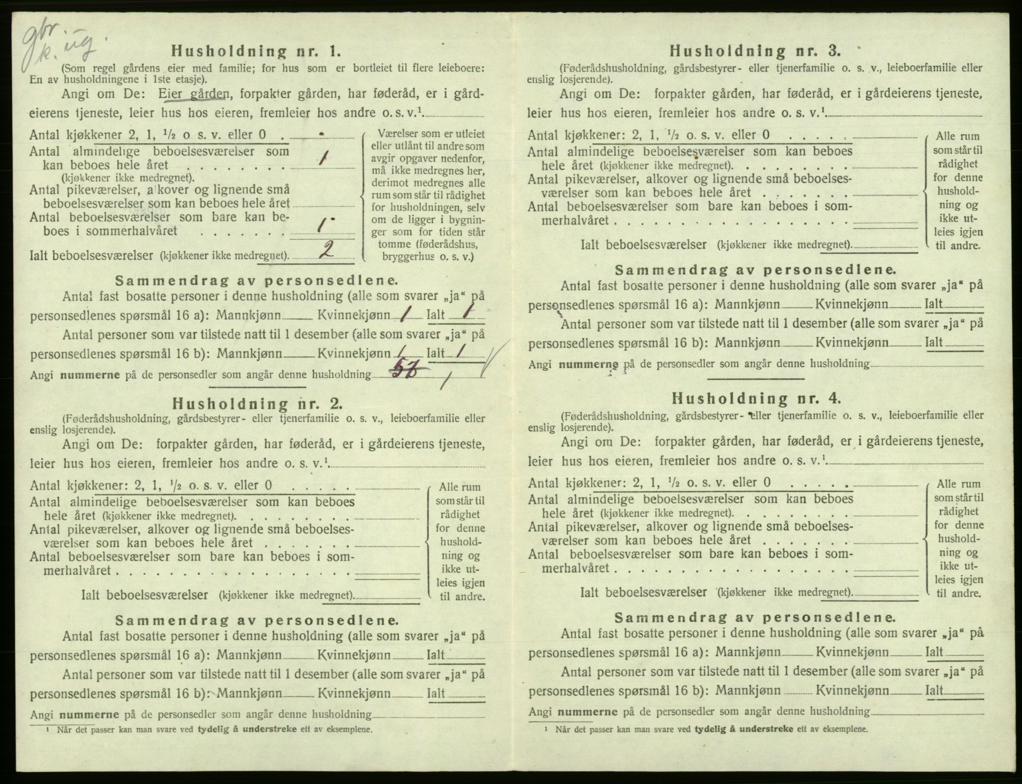 SAB, 1920 census for Eidfjord, 1920, p. 307