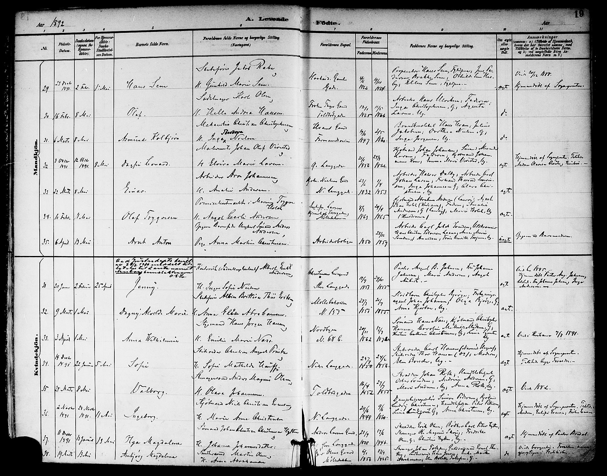 Tønsberg kirkebøker, AV/SAKO-A-330/F/Fa/L0012: Parish register (official) no. I 12, 1891-1899, p. 19