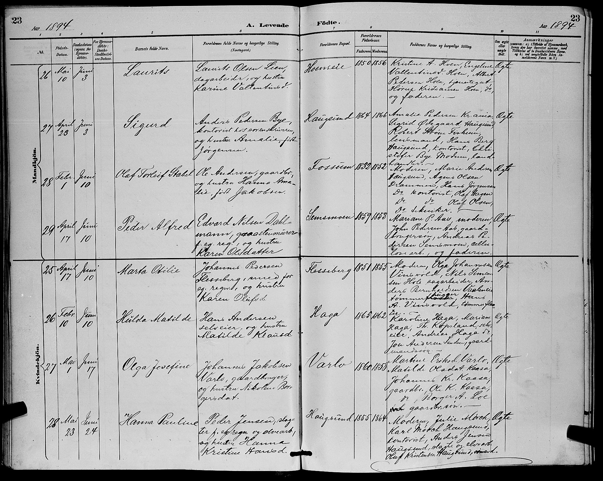 Eiker kirkebøker, AV/SAKO-A-4/G/Ga/L0007: Parish register (copy) no. I 7, 1893-1902, p. 23