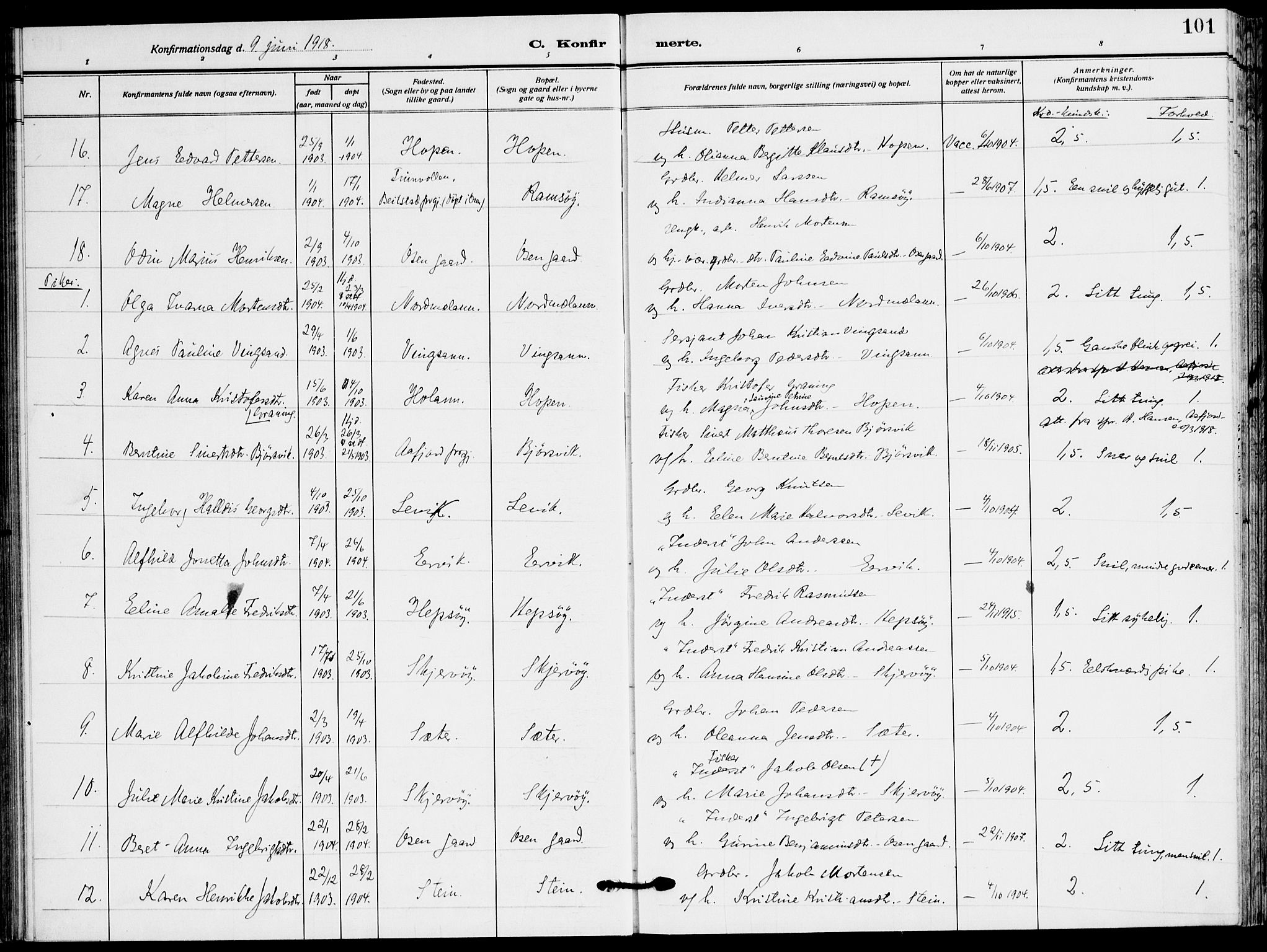 Ministerialprotokoller, klokkerbøker og fødselsregistre - Sør-Trøndelag, SAT/A-1456/658/L0724: Parish register (official) no. 658A03, 1912-1924, p. 101