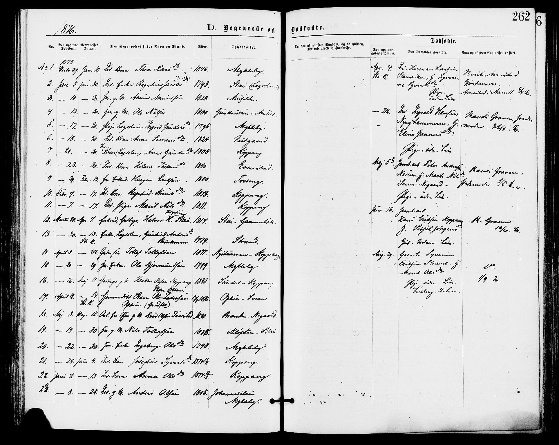 Stor-Elvdal prestekontor, SAH/PREST-052/H/Ha/Haa/L0001: Parish register (official) no. 1, 1871-1882, p. 262