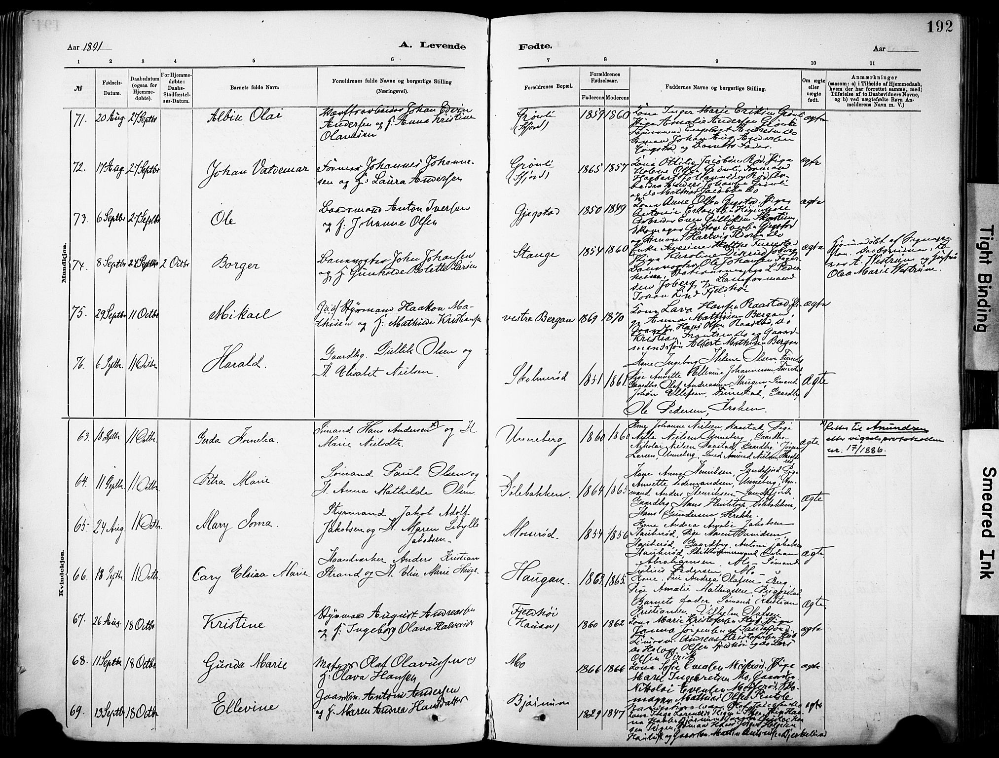 Sandar kirkebøker, AV/SAKO-A-243/F/Fa/L0012: Parish register (official) no. 12, 1883-1895, p. 192