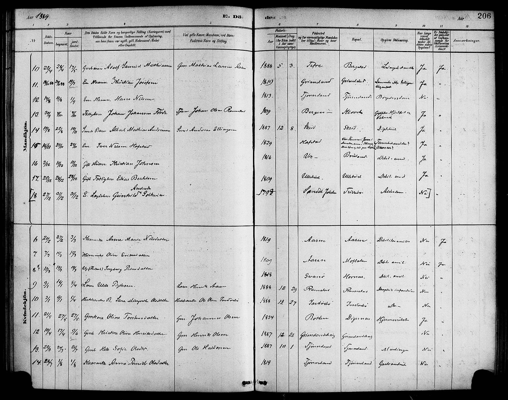 Førde sokneprestembete, SAB/A-79901/H/Haa/Haab/L0001: Parish register (official) no. B 1, 1880-1898, p. 206